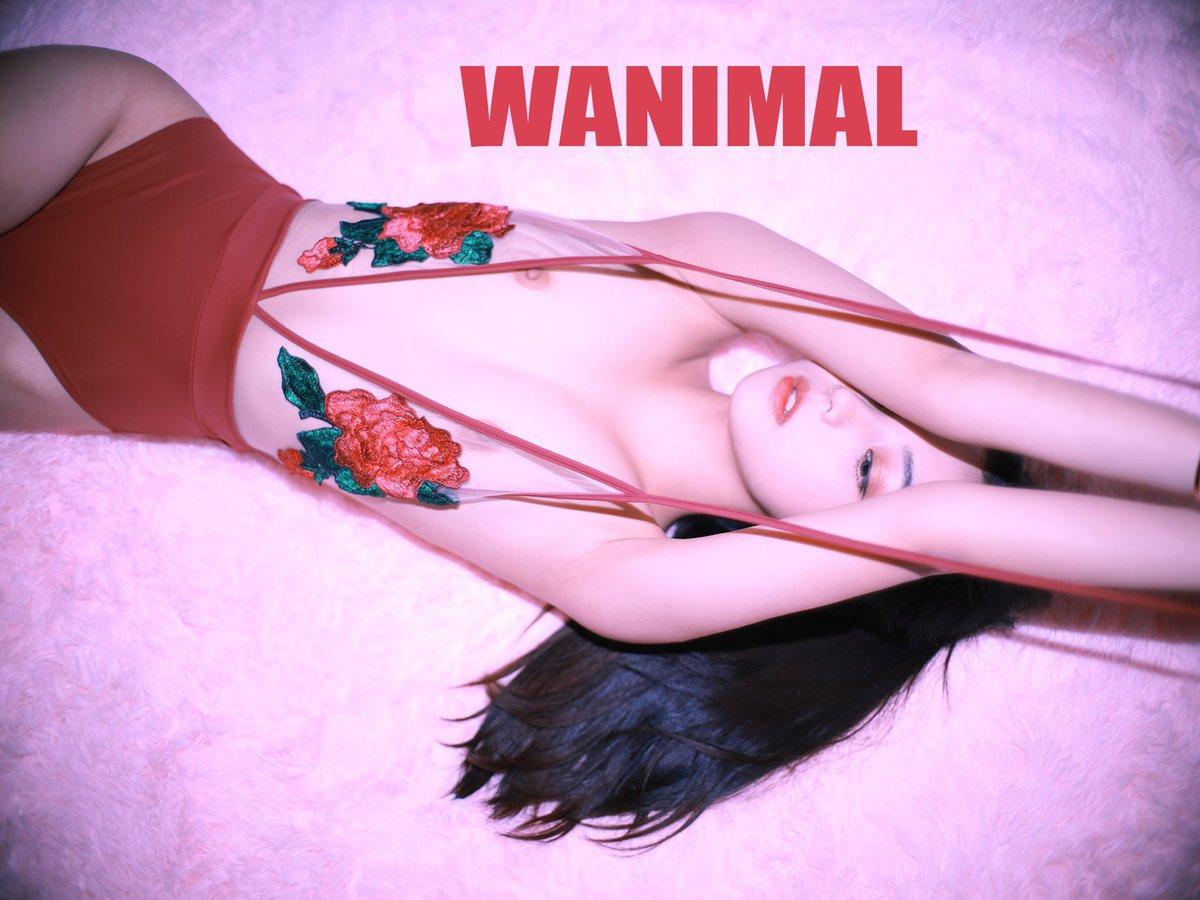 Qinweiyingjie Jie Ge Photo Set | 57P Glamour Gallery