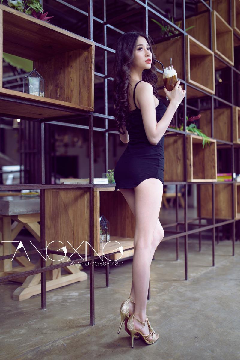 TANGXING: Model Collection 102P