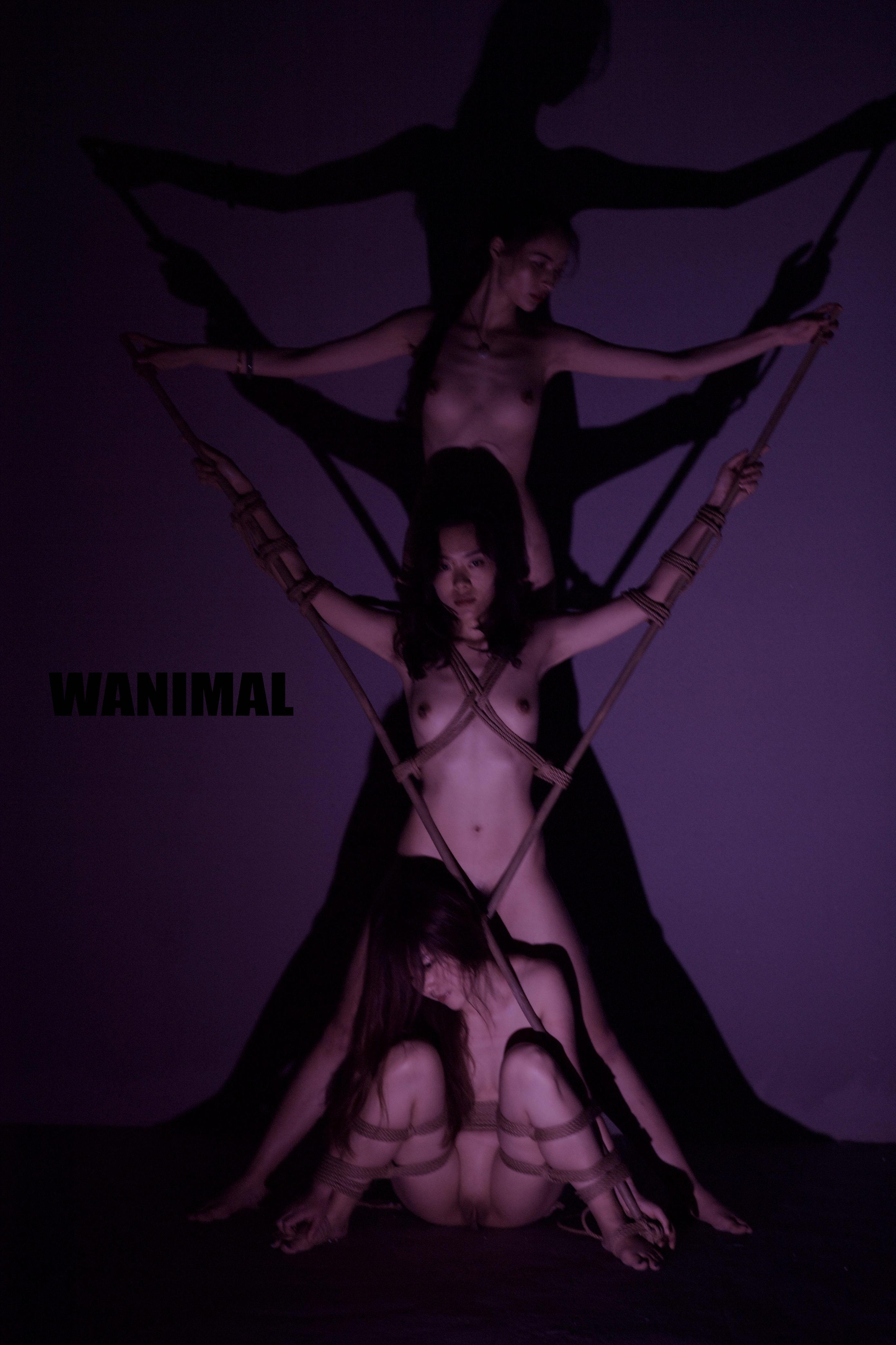 Wang Dong WANIMAL - SM Rope Art 150P