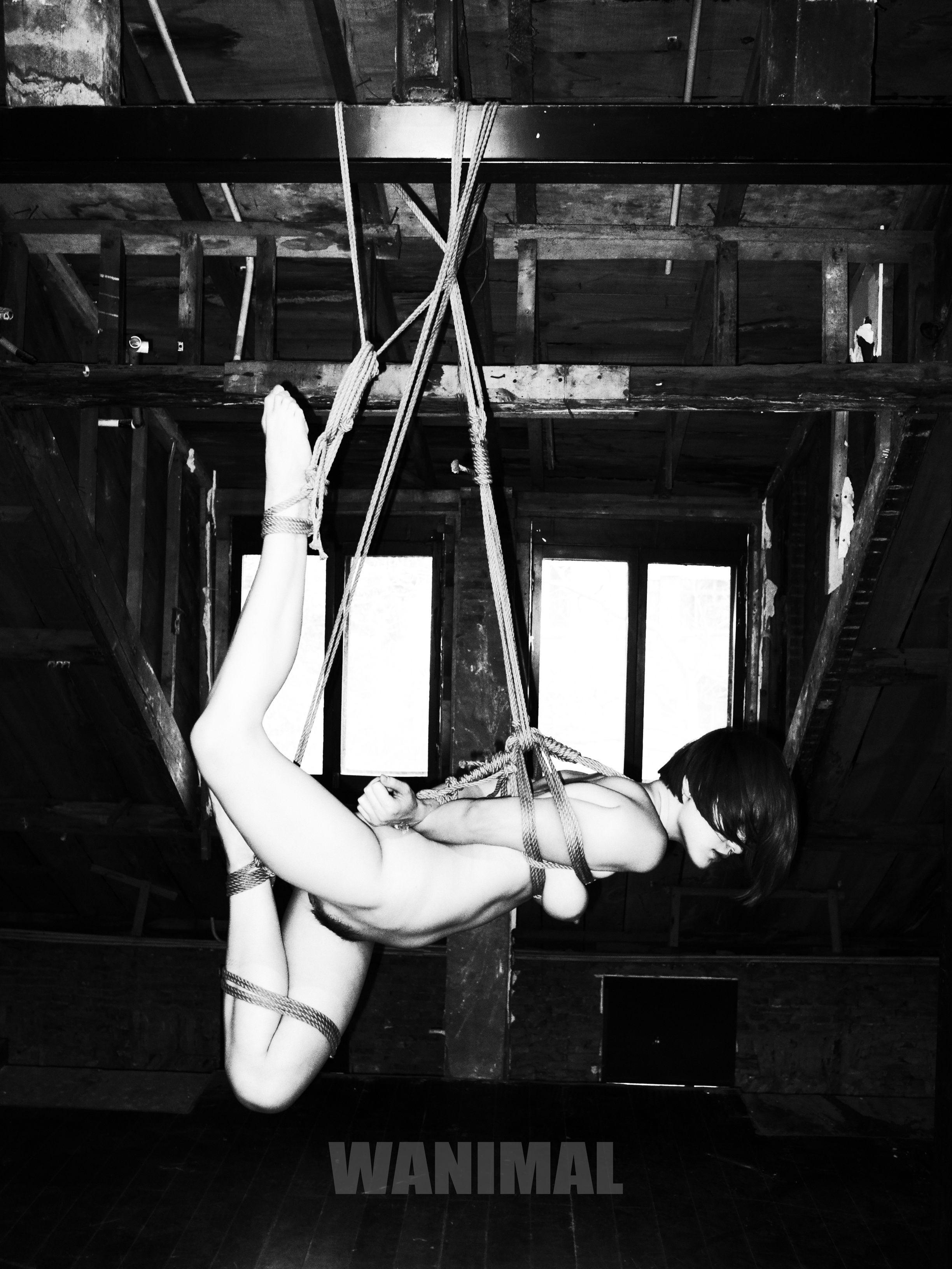 Wang Dong WANIMAL - SM Rope Art 150P