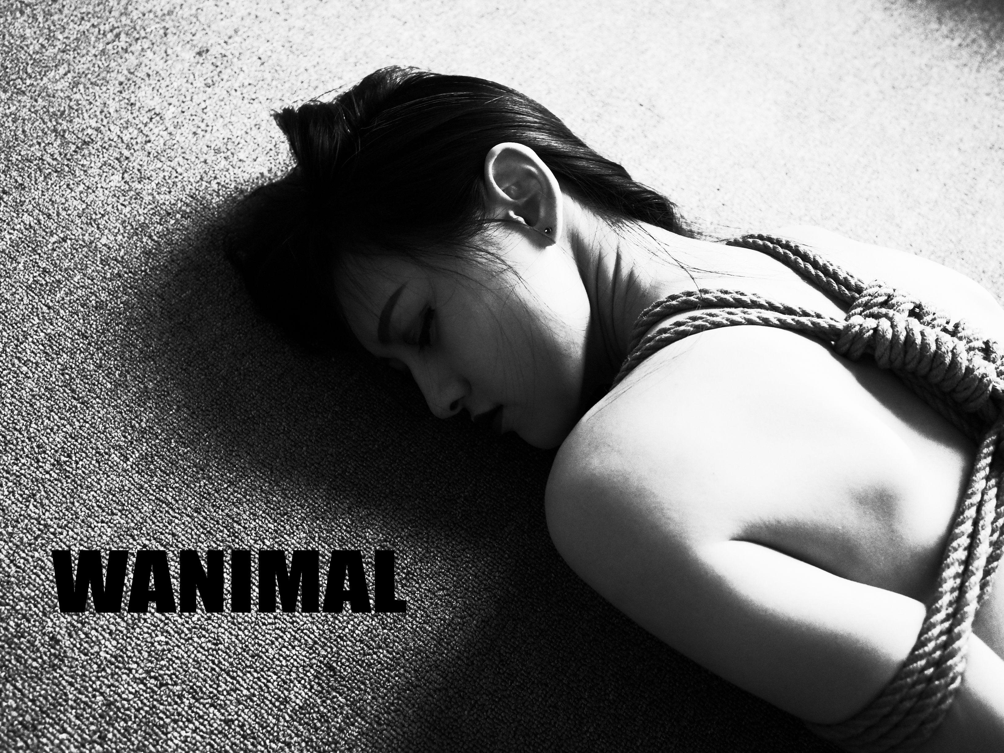 왕동 WANIMAL - SM 로프예술 150P