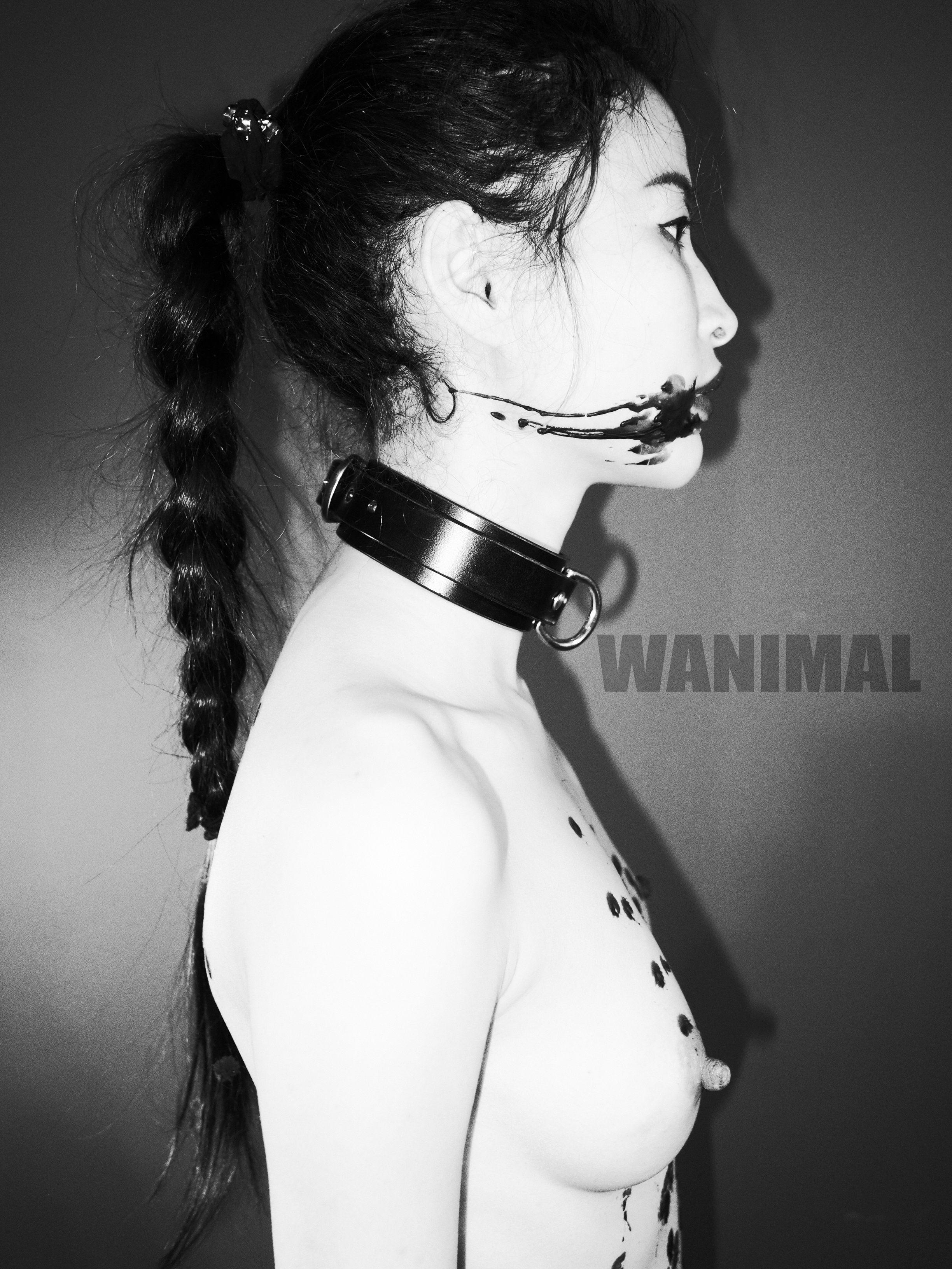 Wang Dong WANIMAL - SM Rope Art 150P