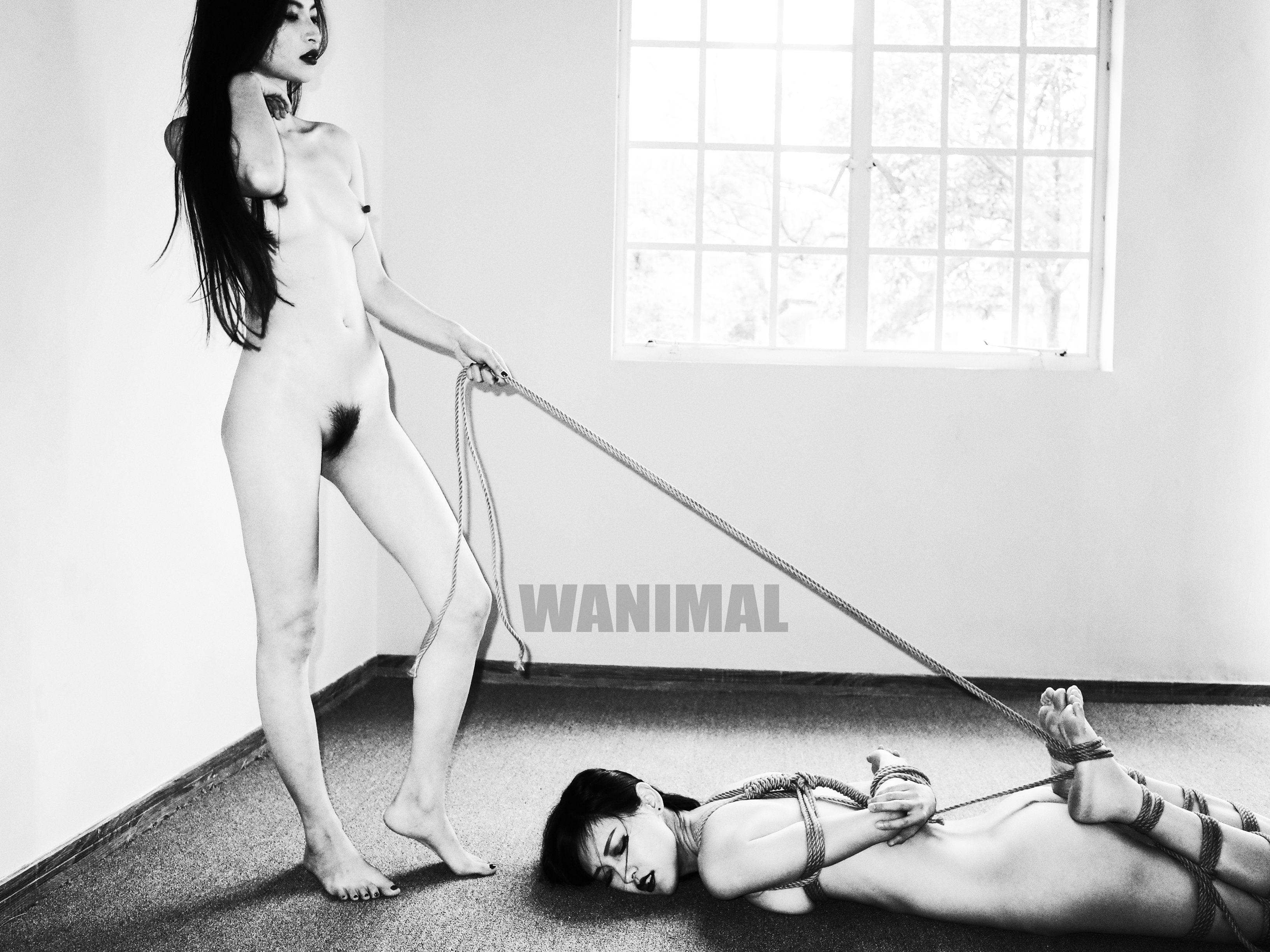 Wang Dong WANIMAL - SM Rope Art 150P
