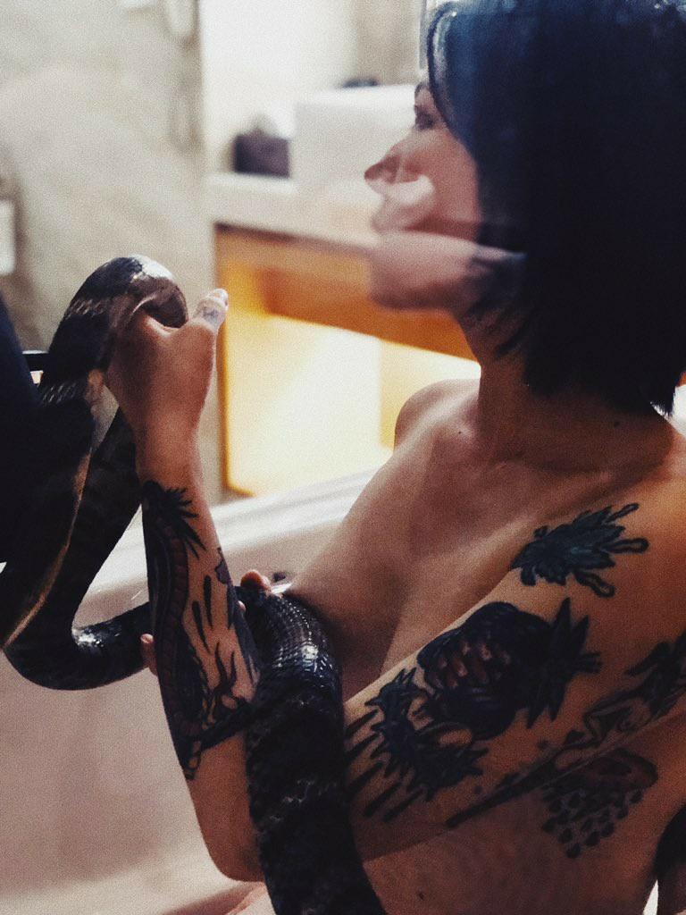 舌尖上的菊花Acezoey 79P