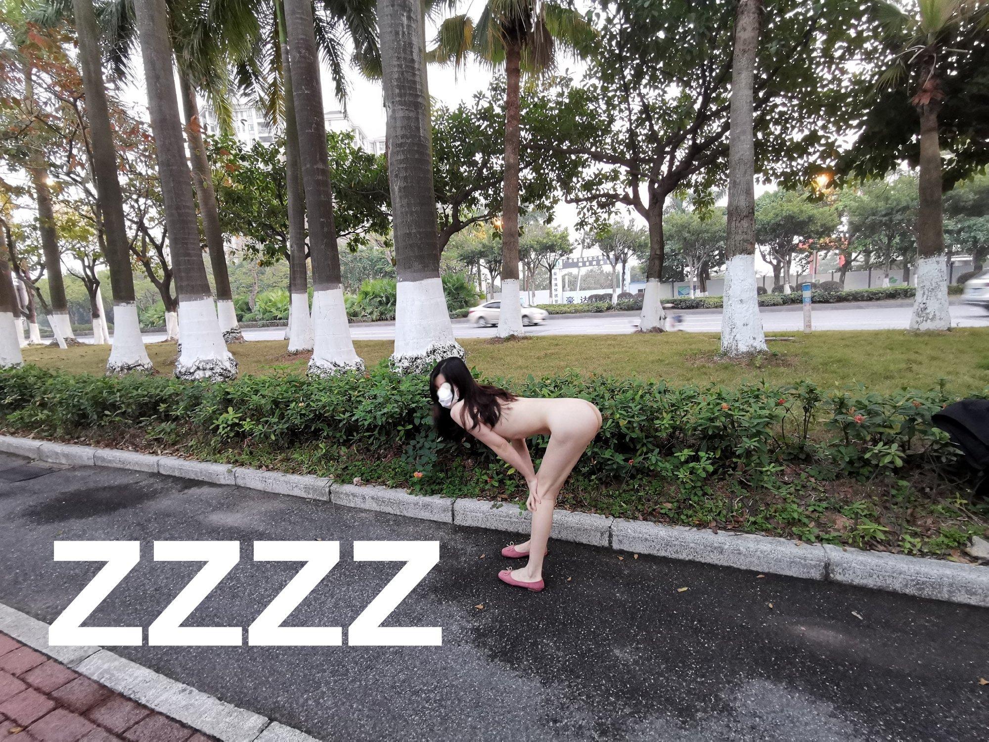 Guangzhou Couple "ZZZZ" Full Nude Exposure 126P