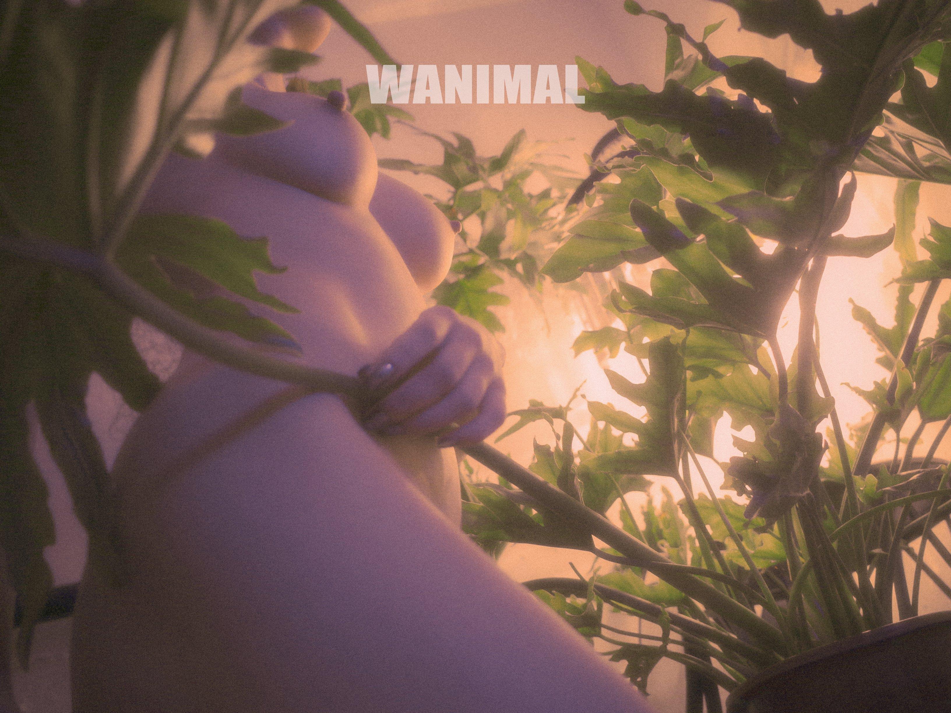 WANIMAL王动作品 160P