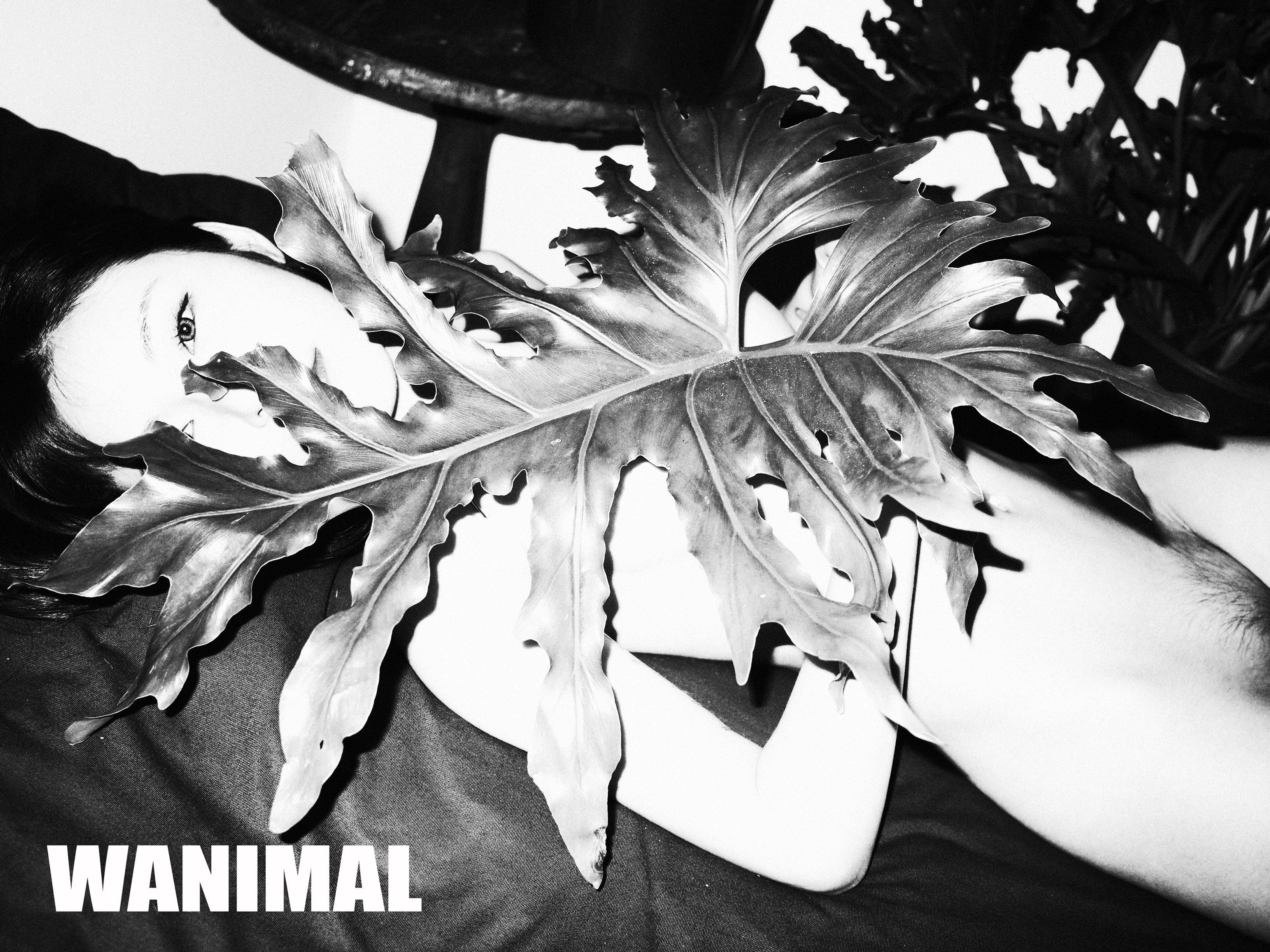 WANIMAL王动作品 160P