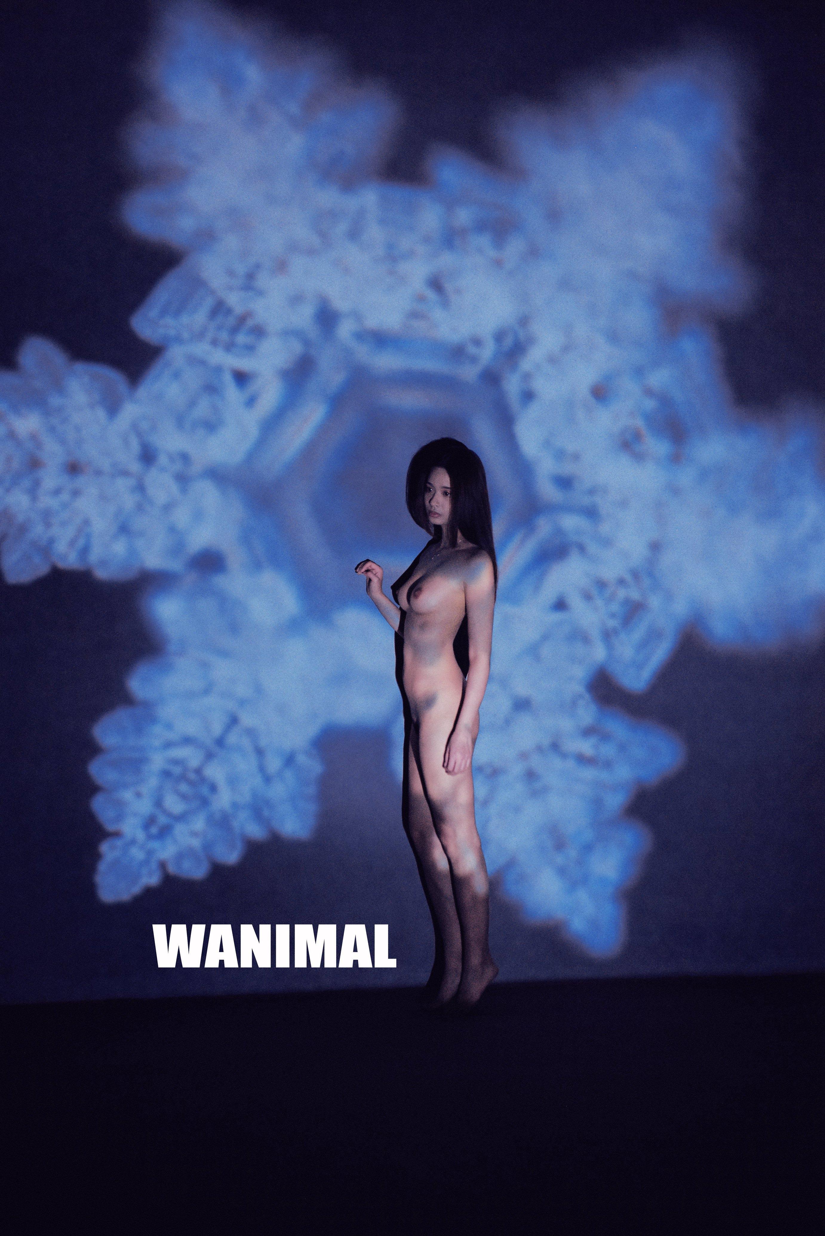 WANIMAL by Wang Dong, 160 pages