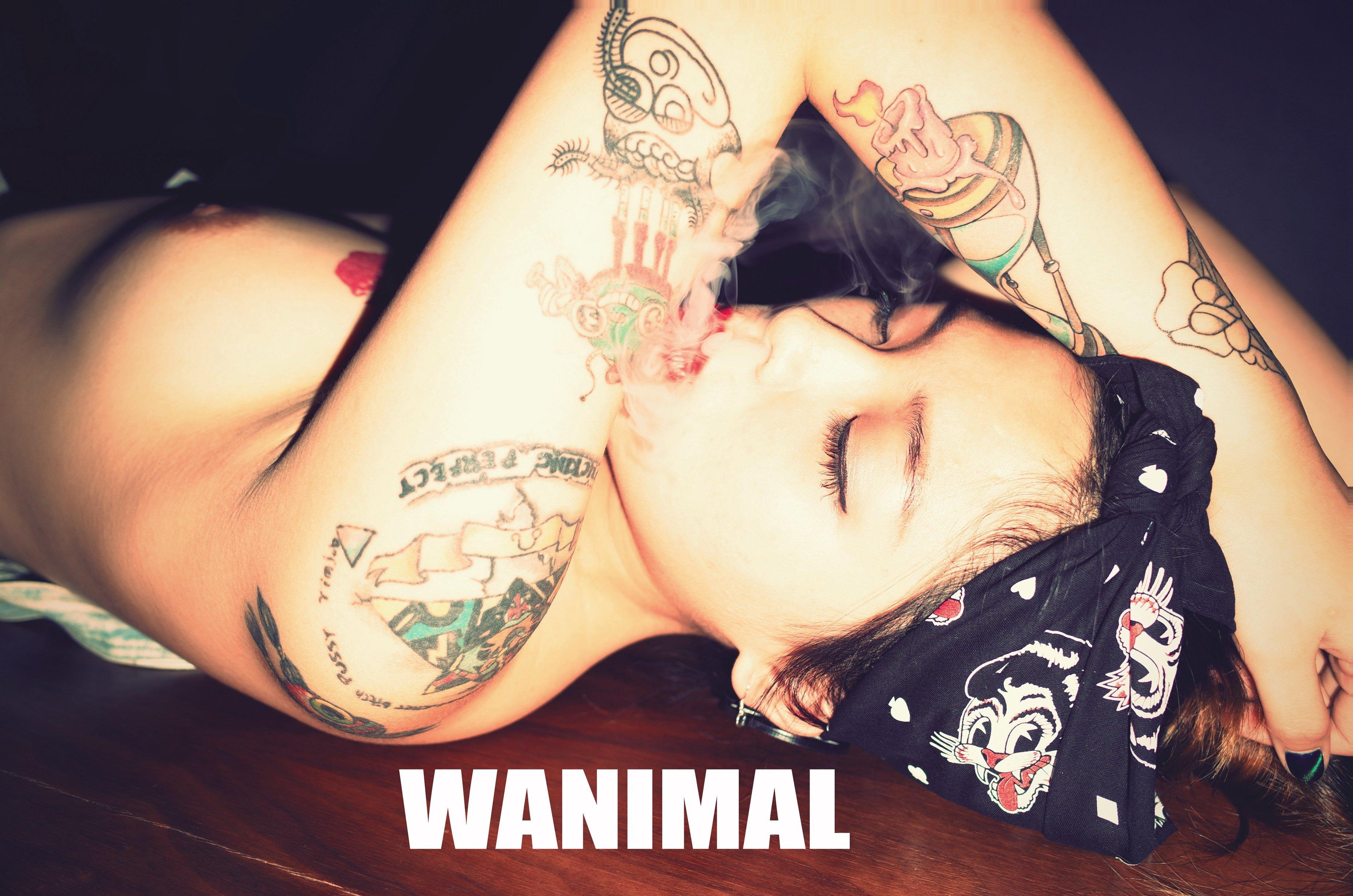 WANIMAL by Wang Dong, 160 pages