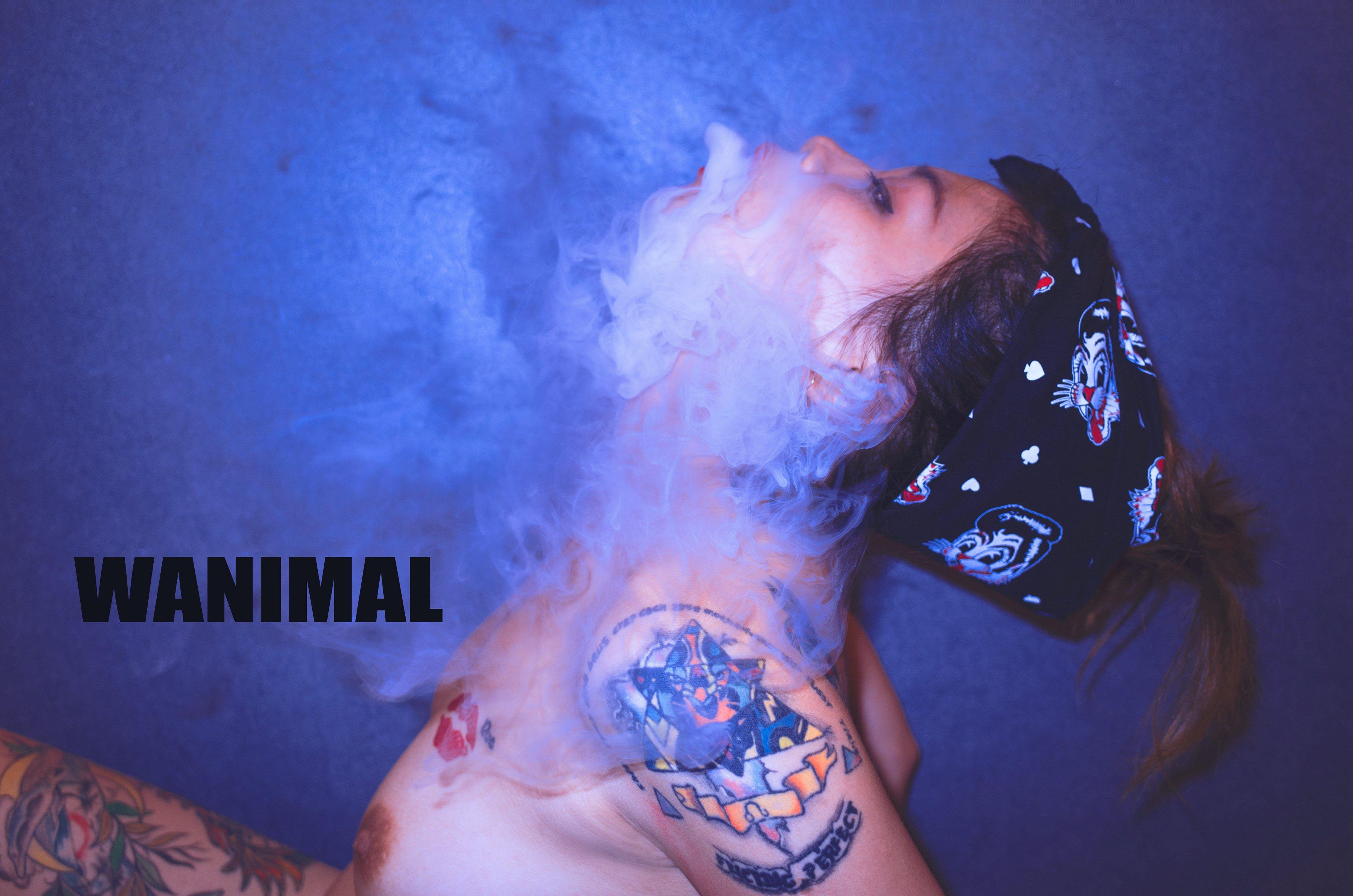 WANIMAL by Wang Dong, 160 pages
