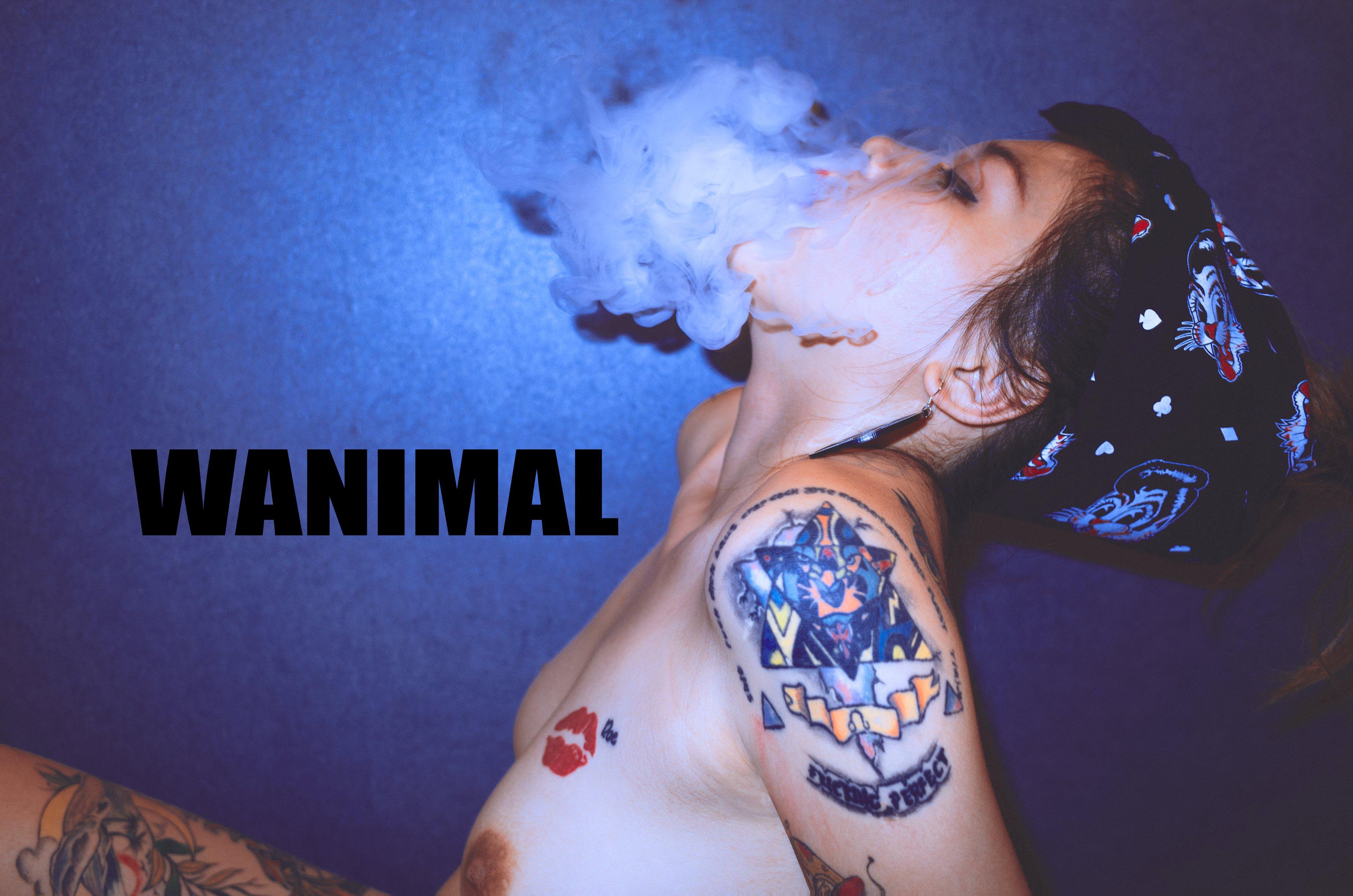 WANIMAL by Wang Dong, 160 pages
