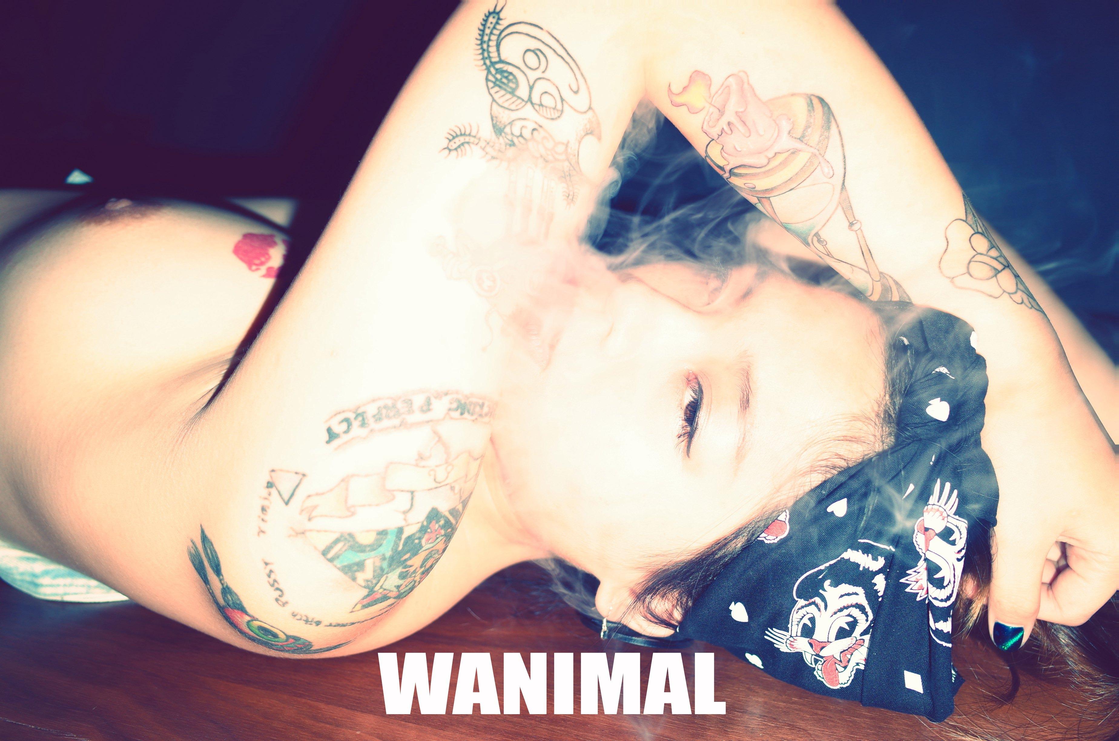 WANIMAL by Wang Dong, 160 pages