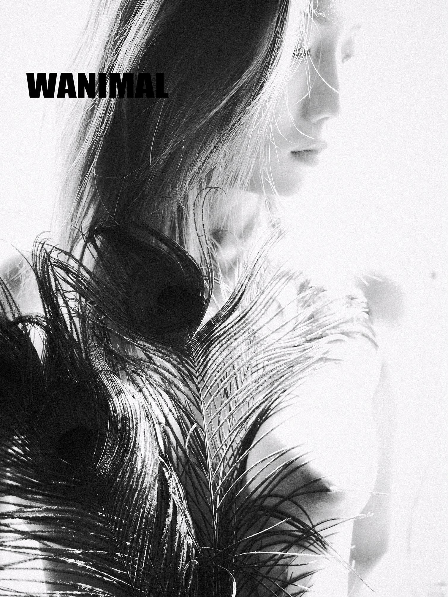 WANIMAL by Wang Dong, 160 pages