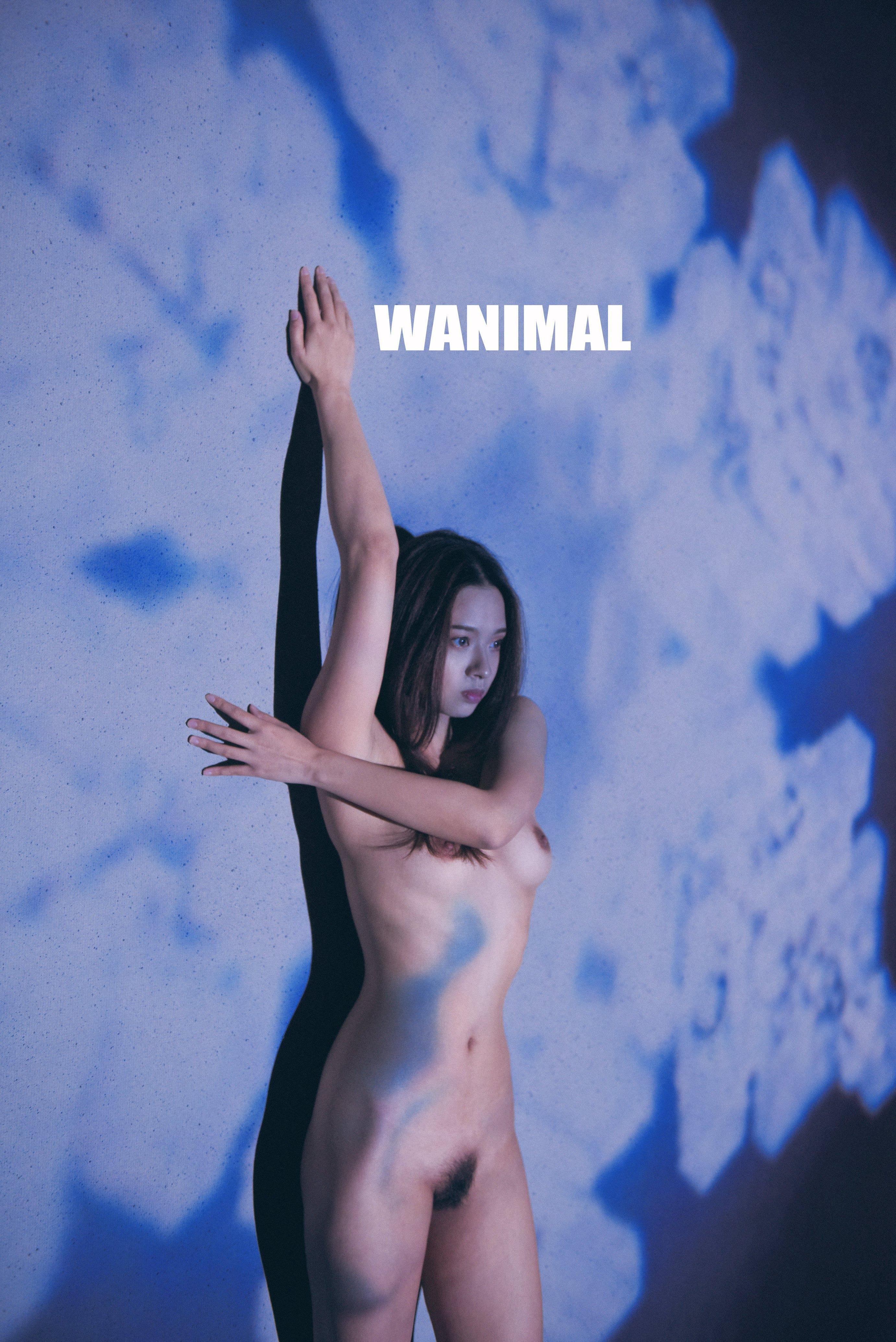 WANIMAL by Wang Dong, 160 pages