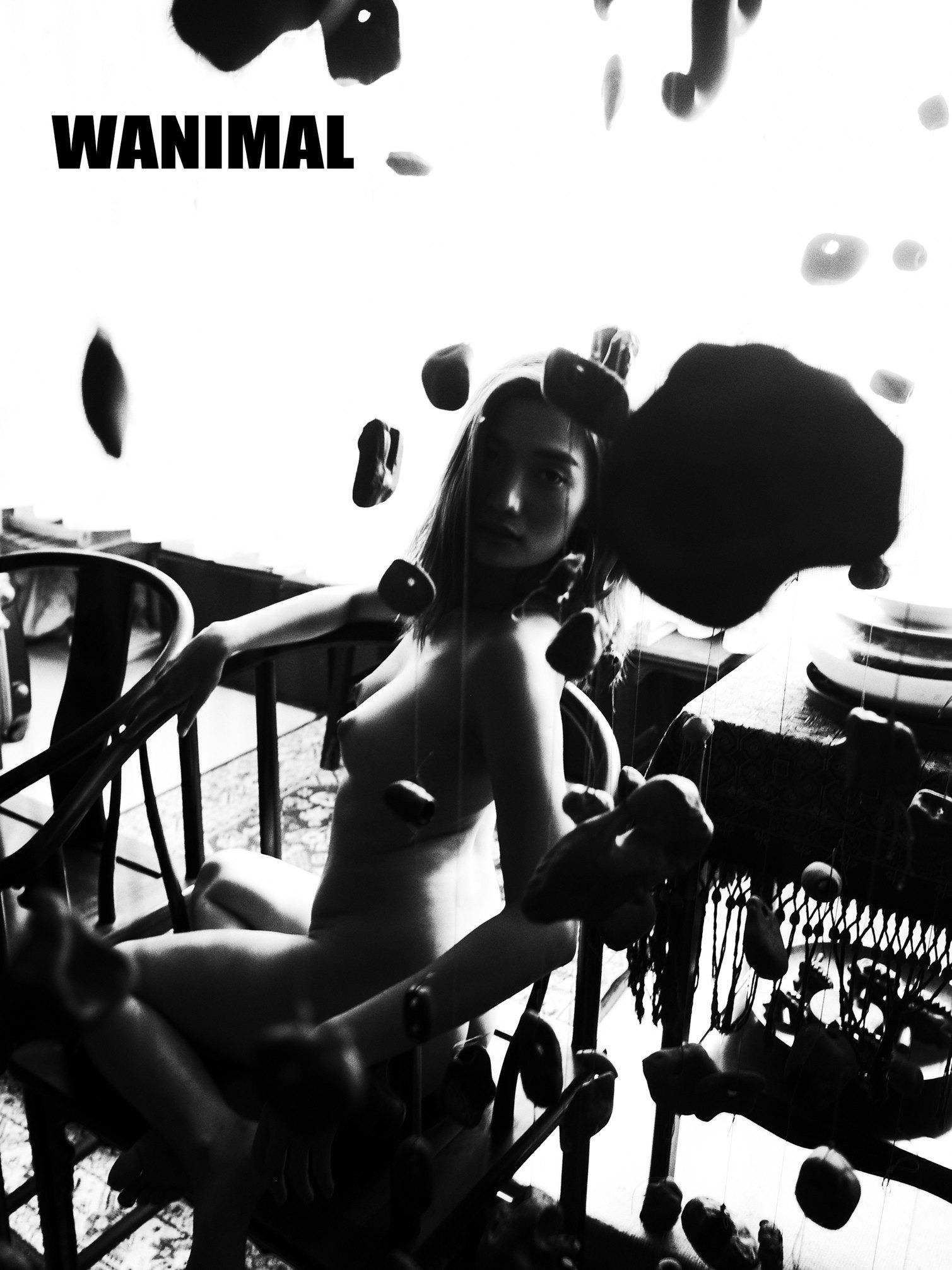 瓦尼瑪王動作品 160P