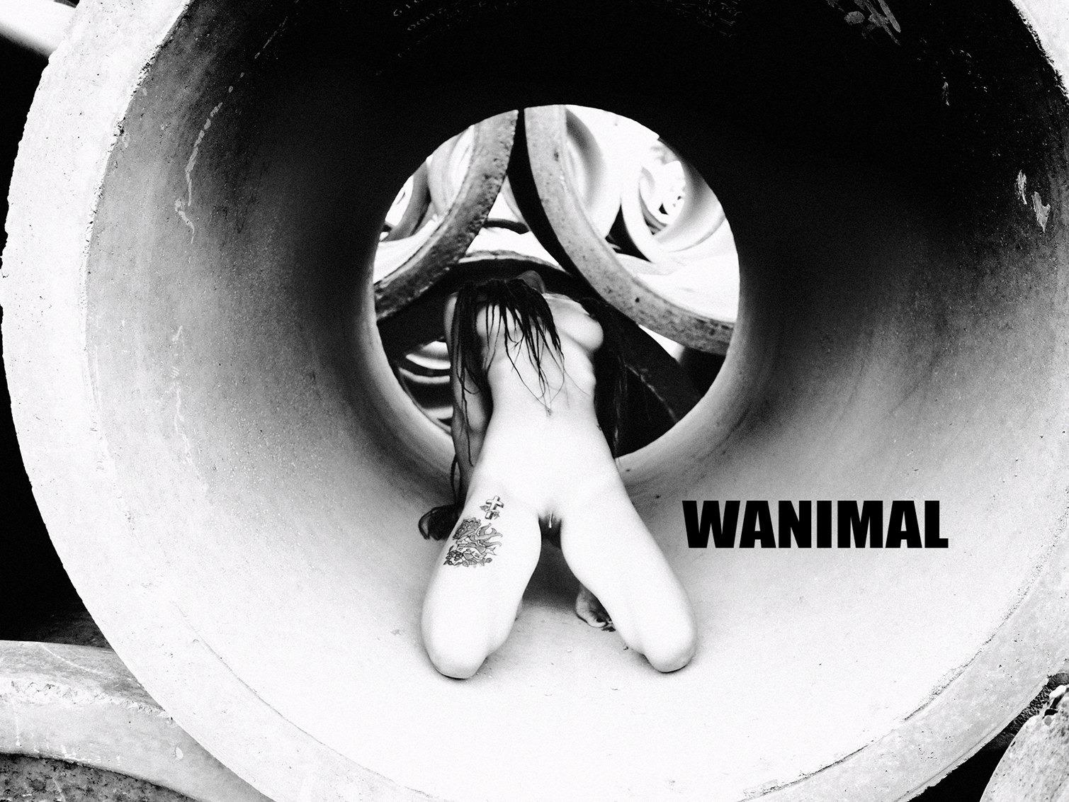 WANIMAL王动作品 160P