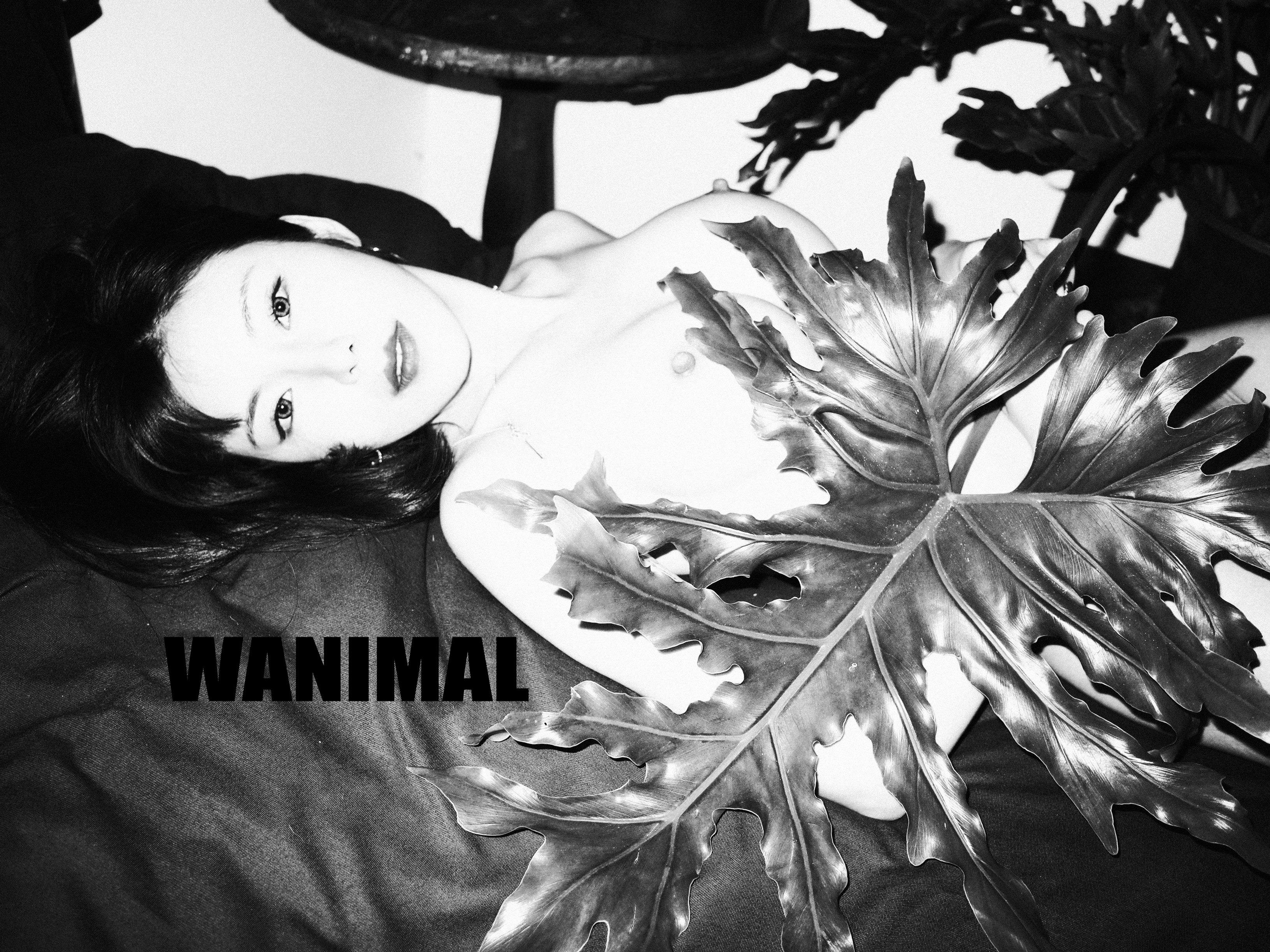 WANIMAL王动作品 160P