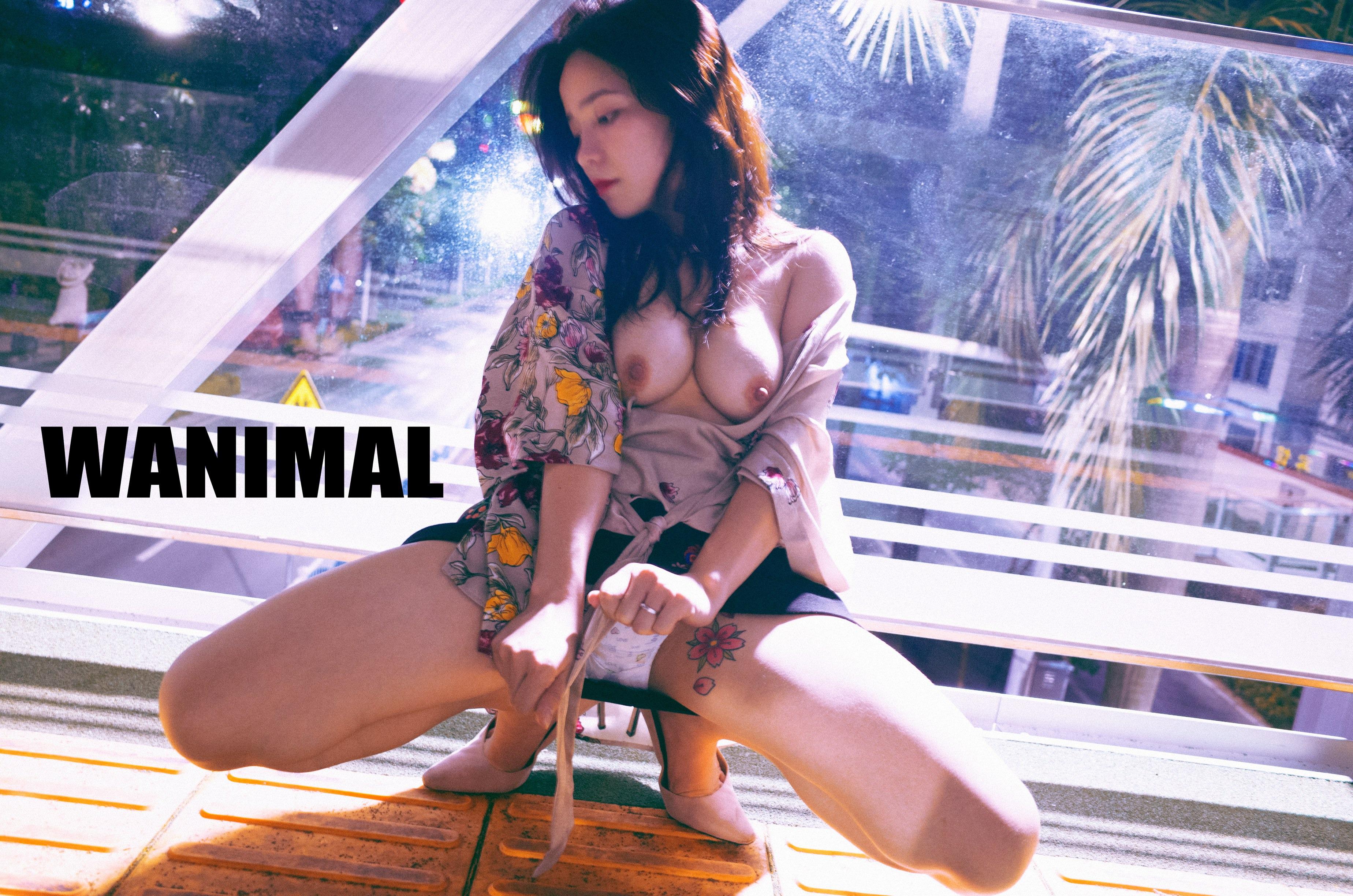 WANIMAL Wang Dong Works 154P