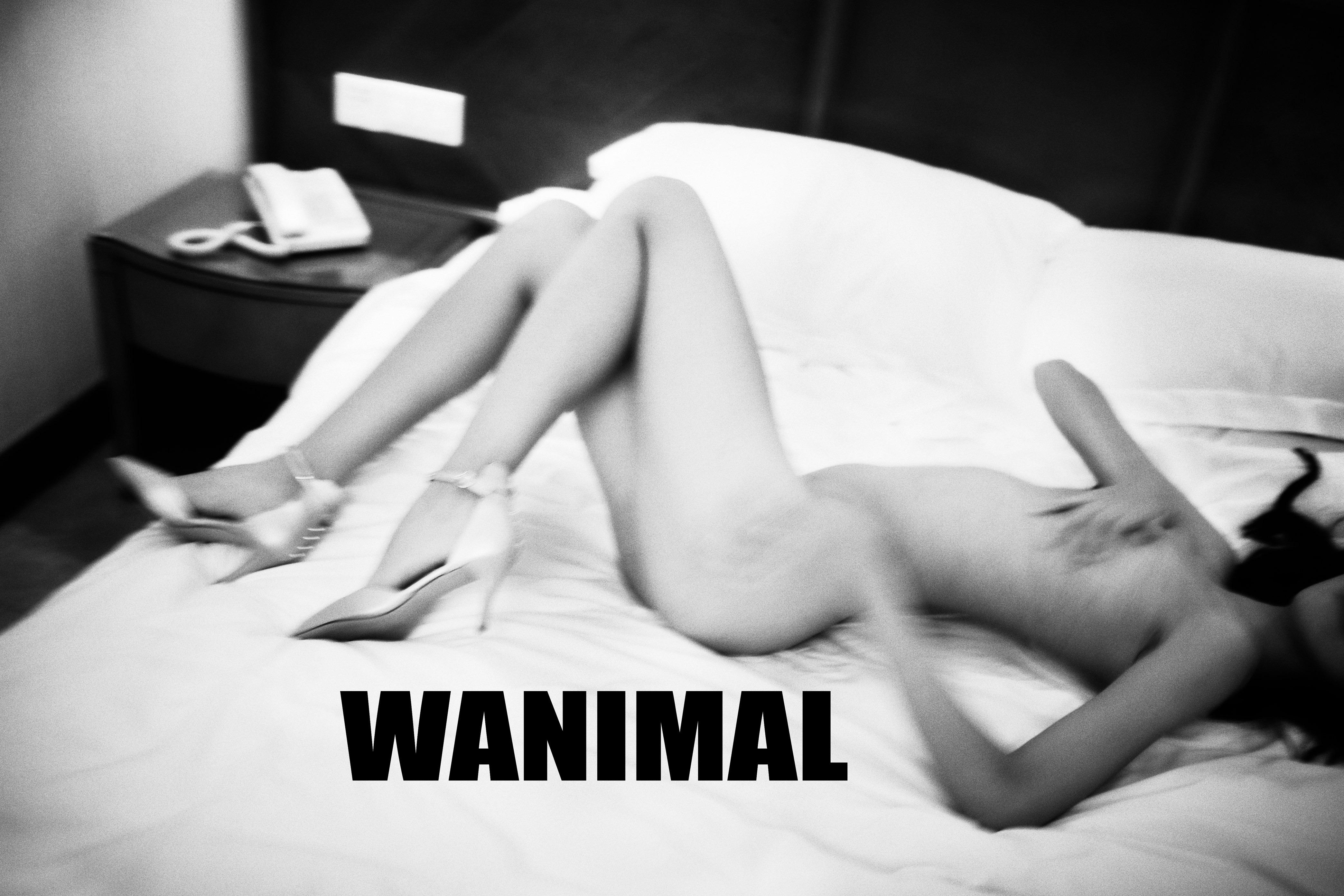 WANIMAL Wang Dong Works 154P