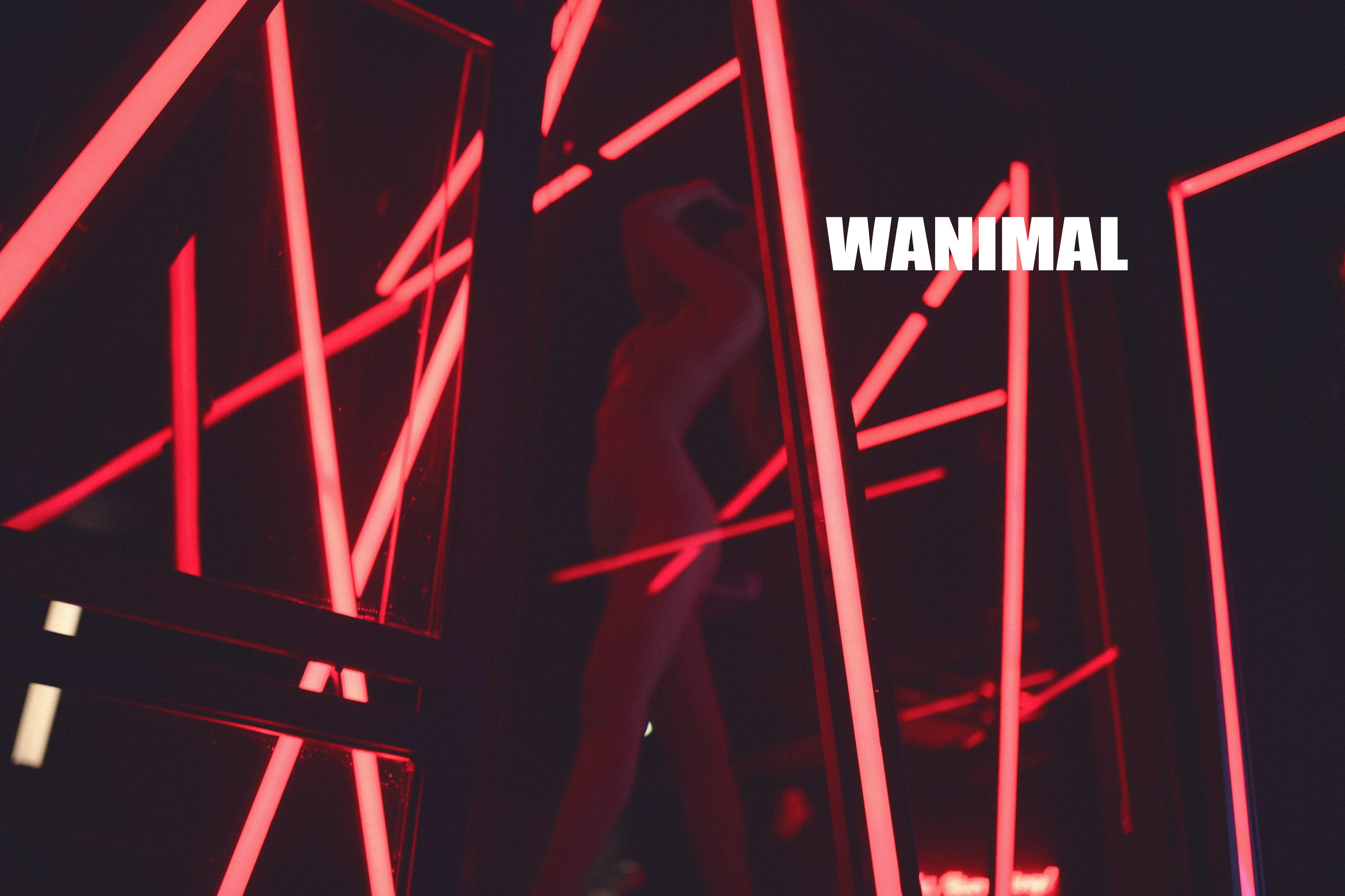 WANIMAL Wang Dong Works 154P