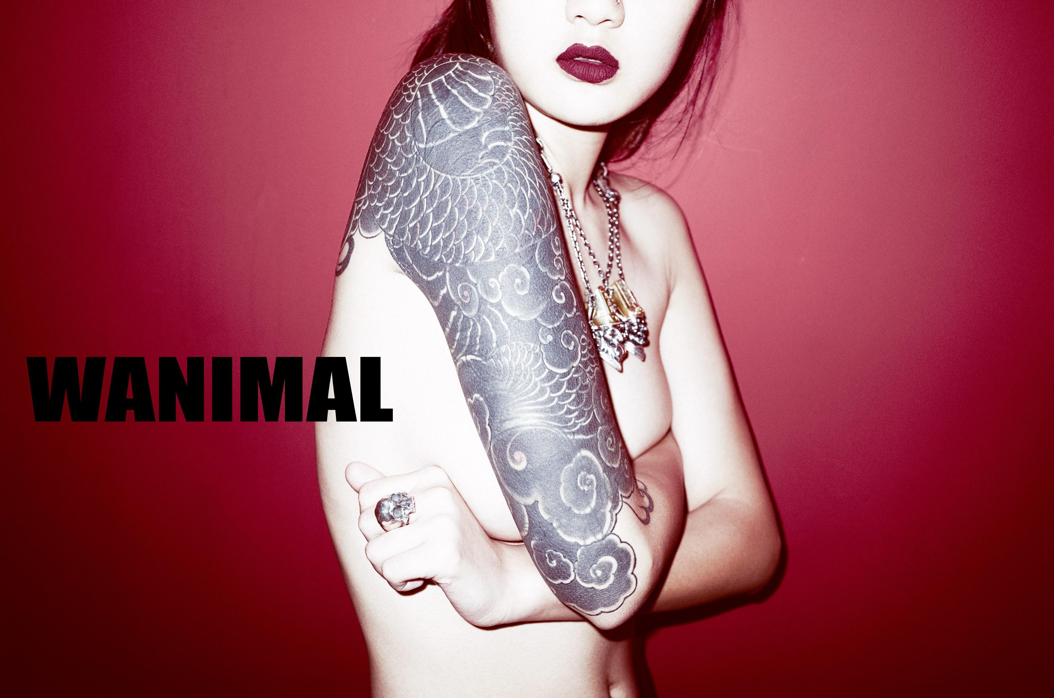 WANIMAL Wang Dong Works 154P