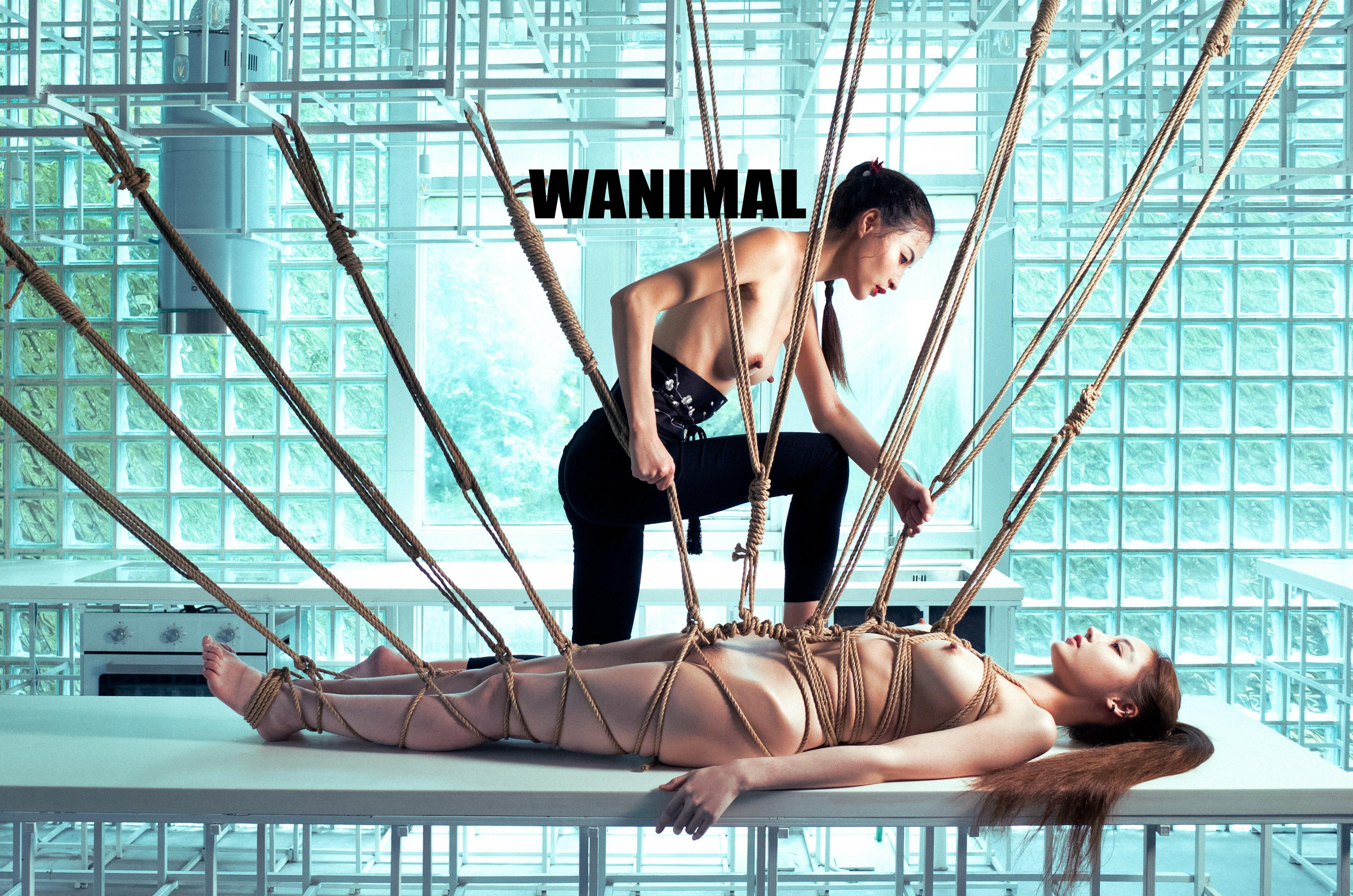 WANIMAL Vương Động Tác phẩm 154P