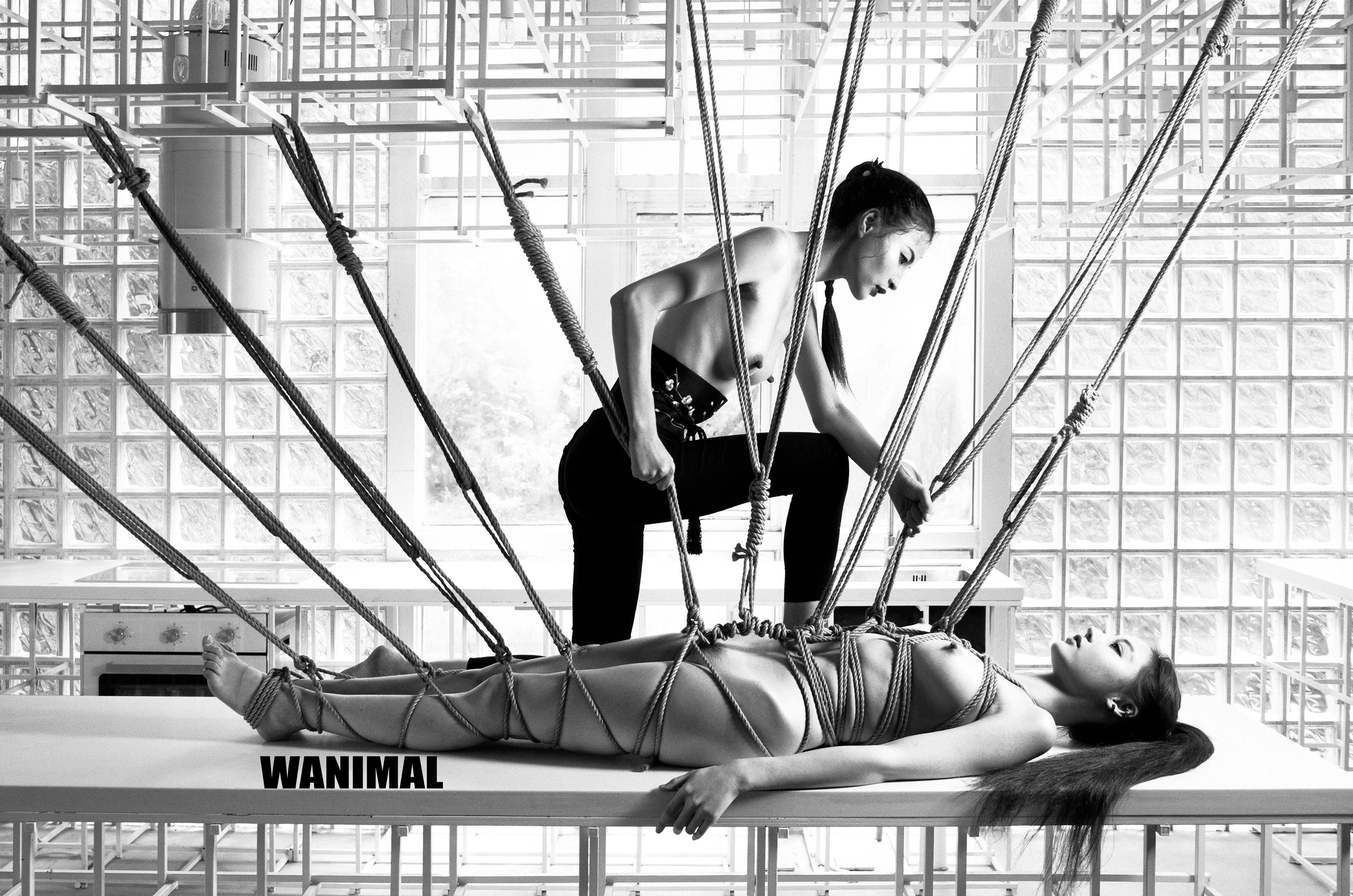 WANIMAL Vương Động Tác phẩm 154P