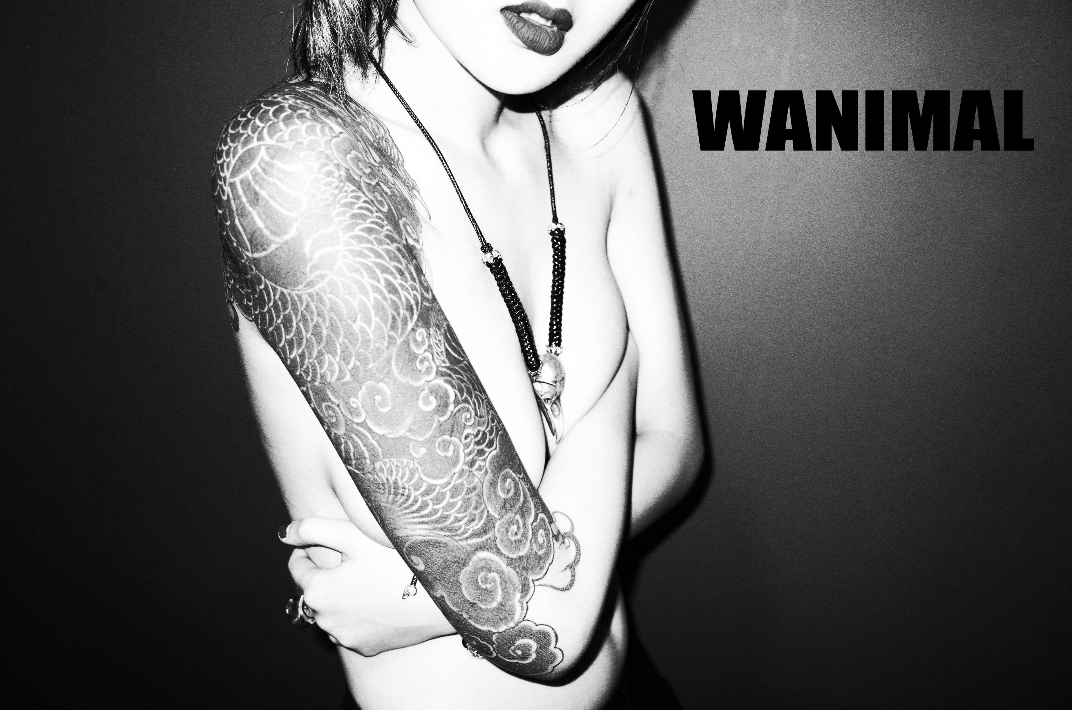 WANIMAL Wang Dong Works 154P