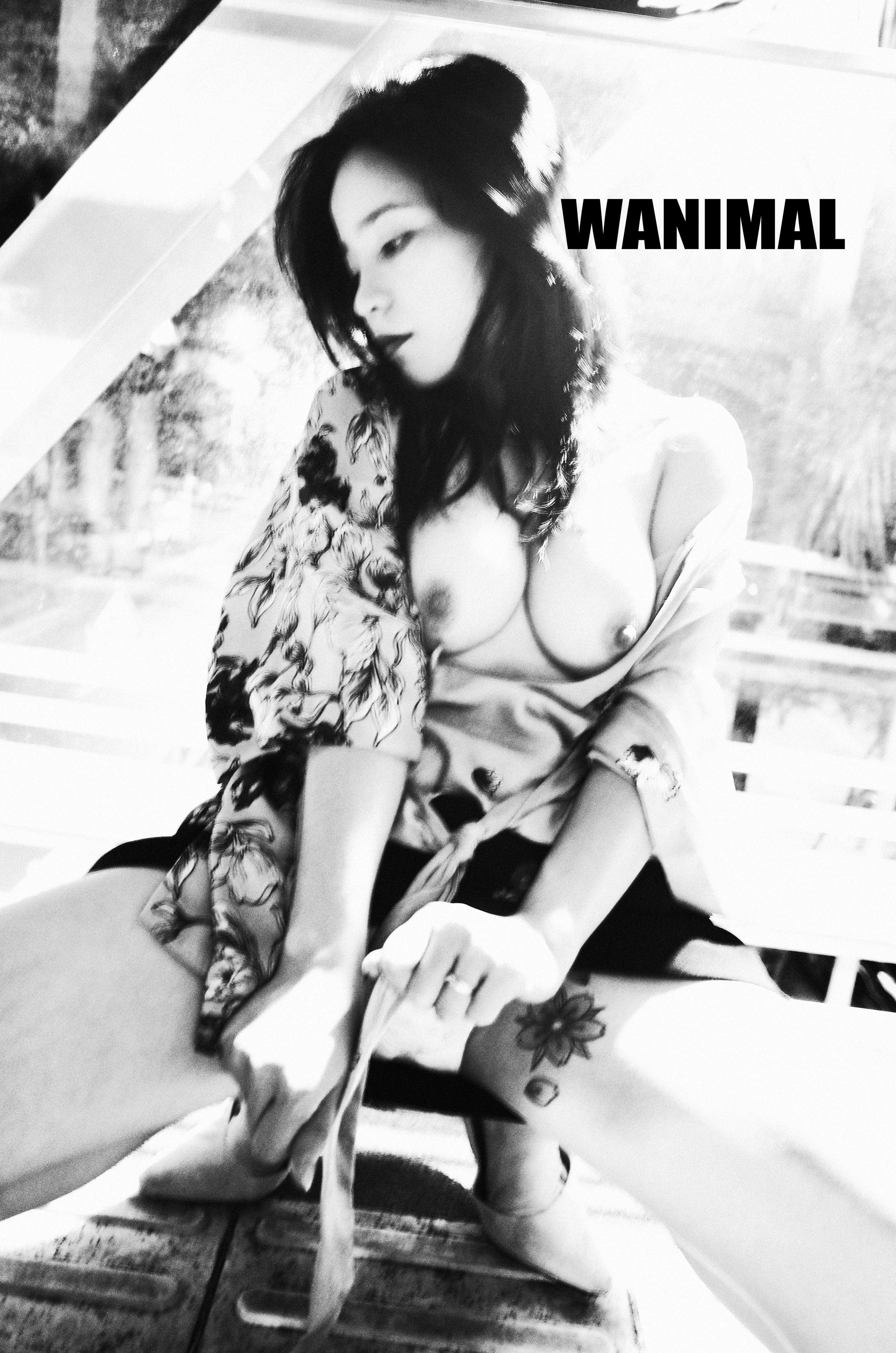 WANIMAL Wang Dong Works 154P