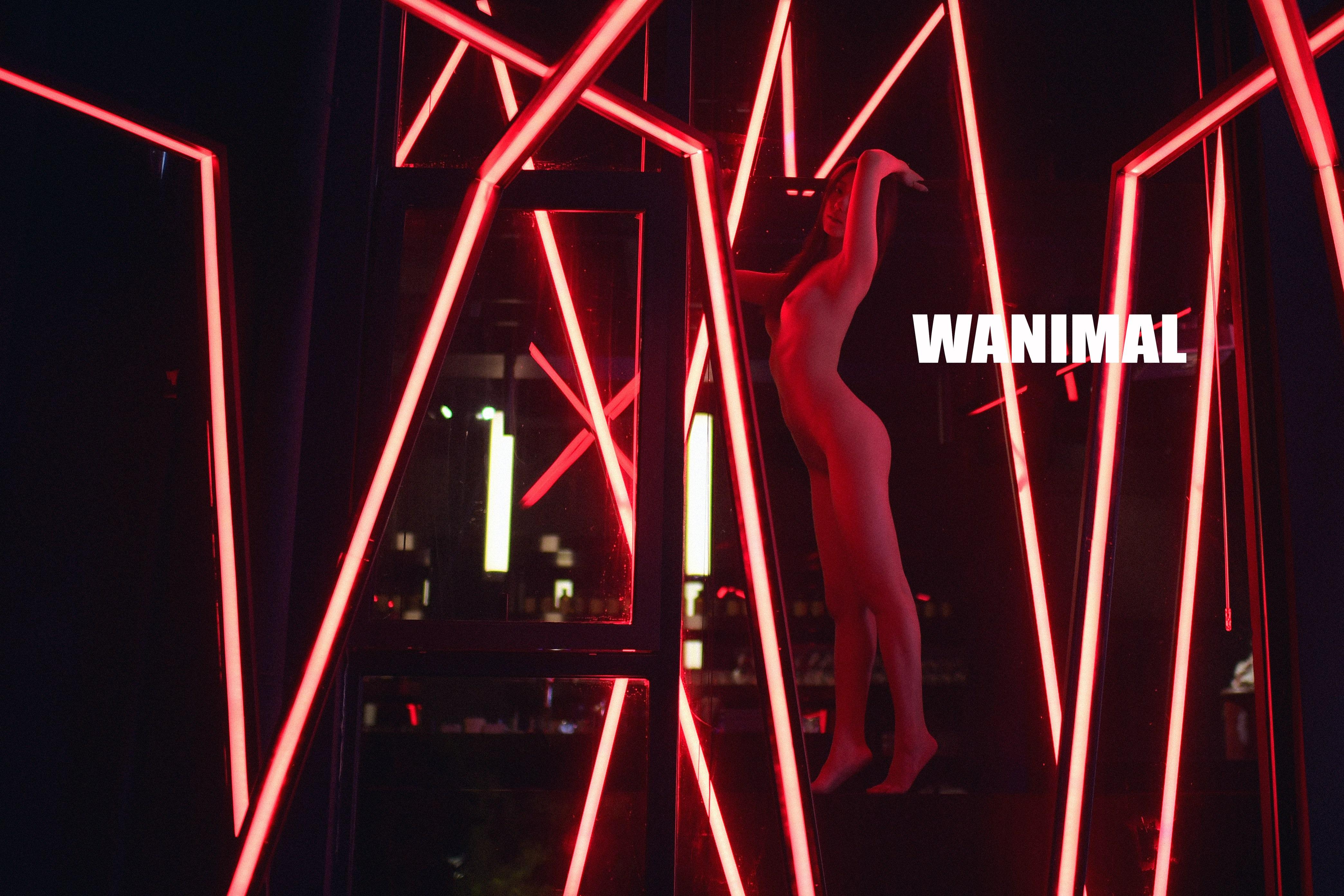 WANIMAL Wang Dong Works 154P
