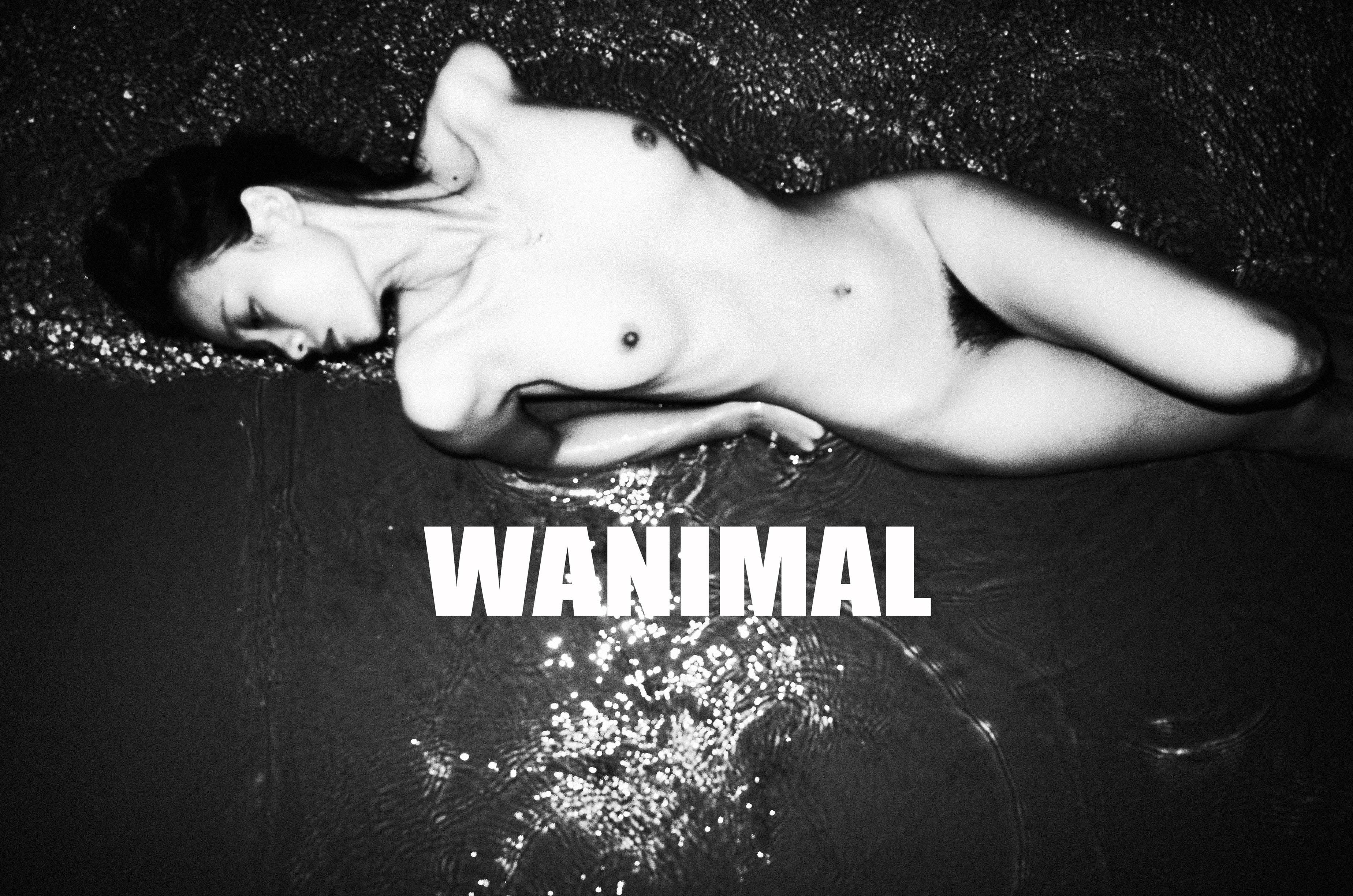 WANIMAL Wang Dong Works 154P