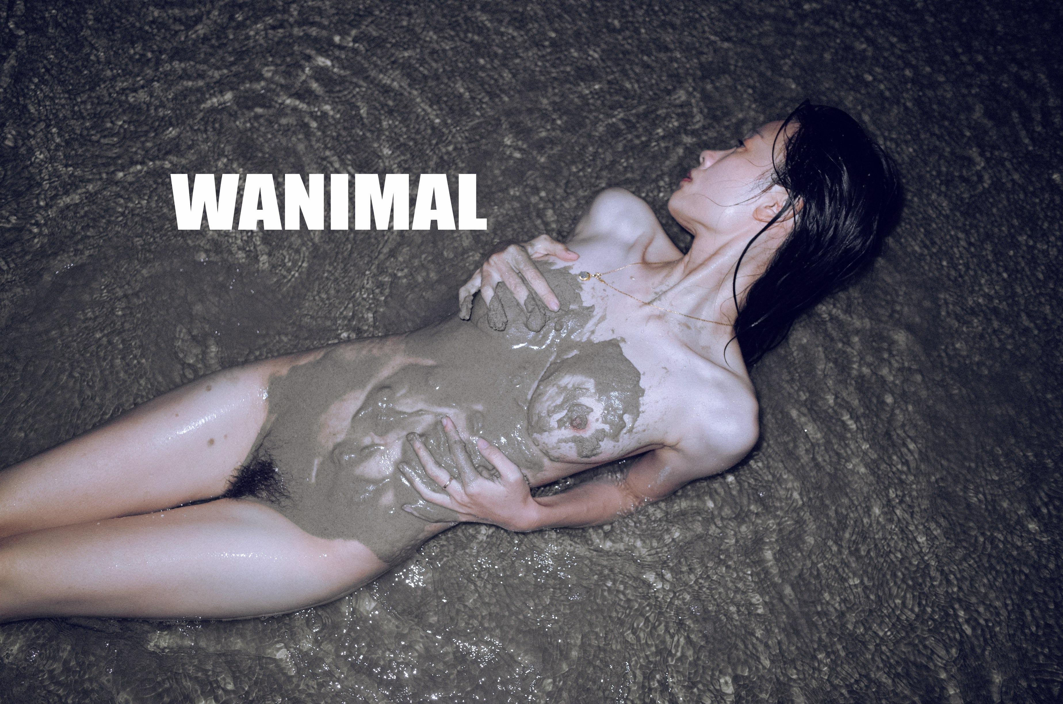 WANIMAL Wang Dong Works 154P