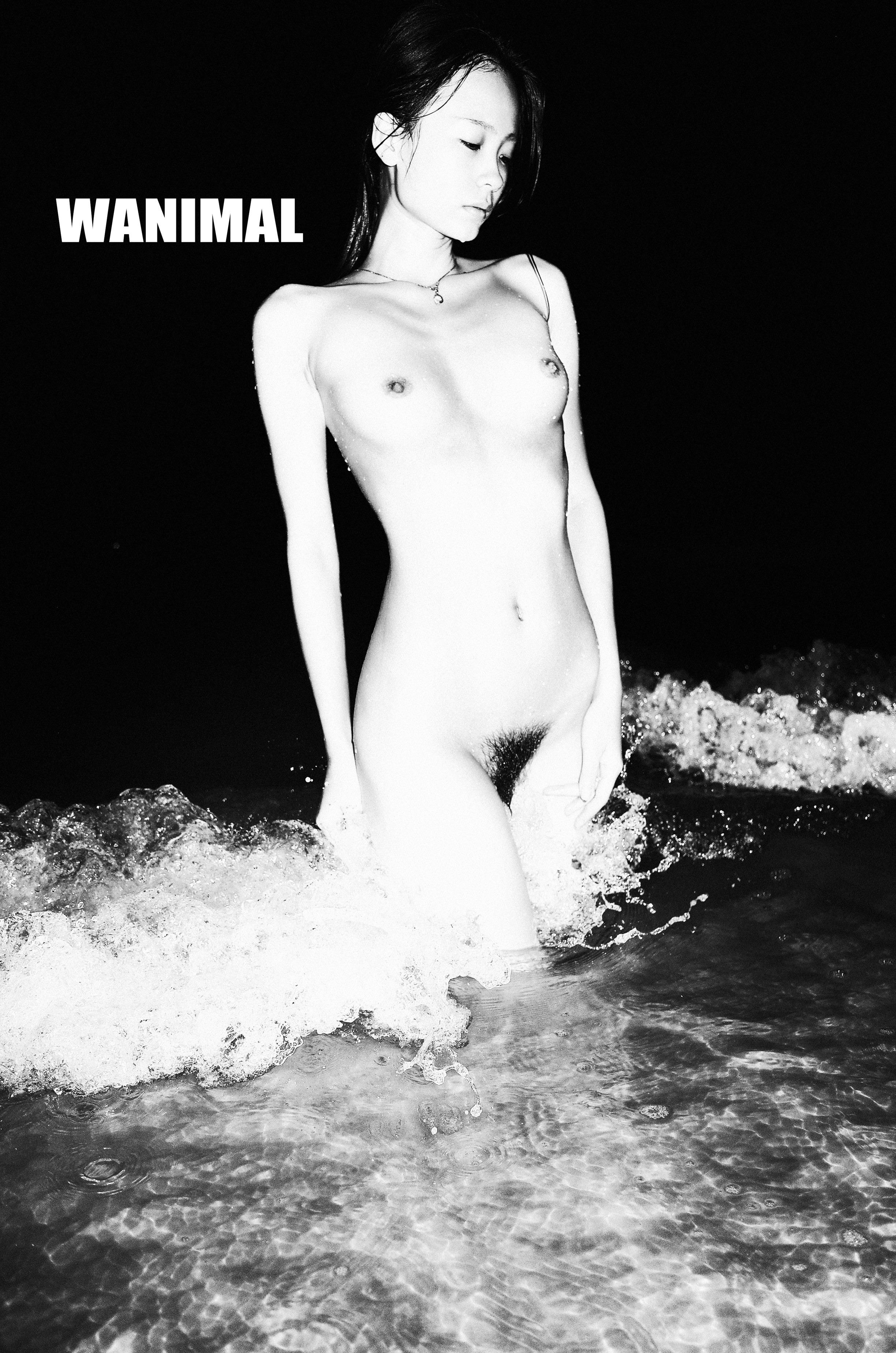 WANIMAL Wang Dong Works 154P
