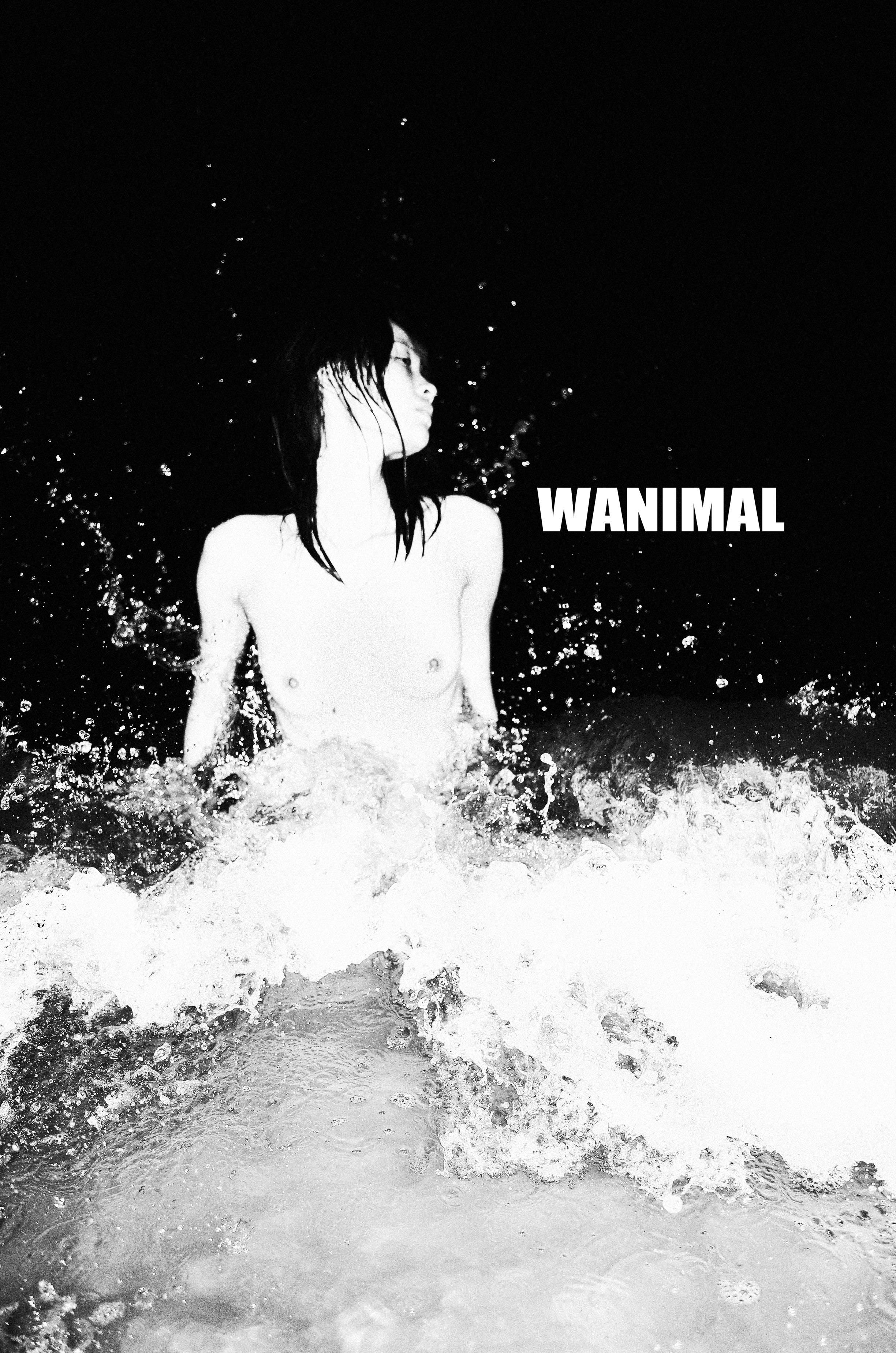 WANIMAL Wang Dong Works 154P
