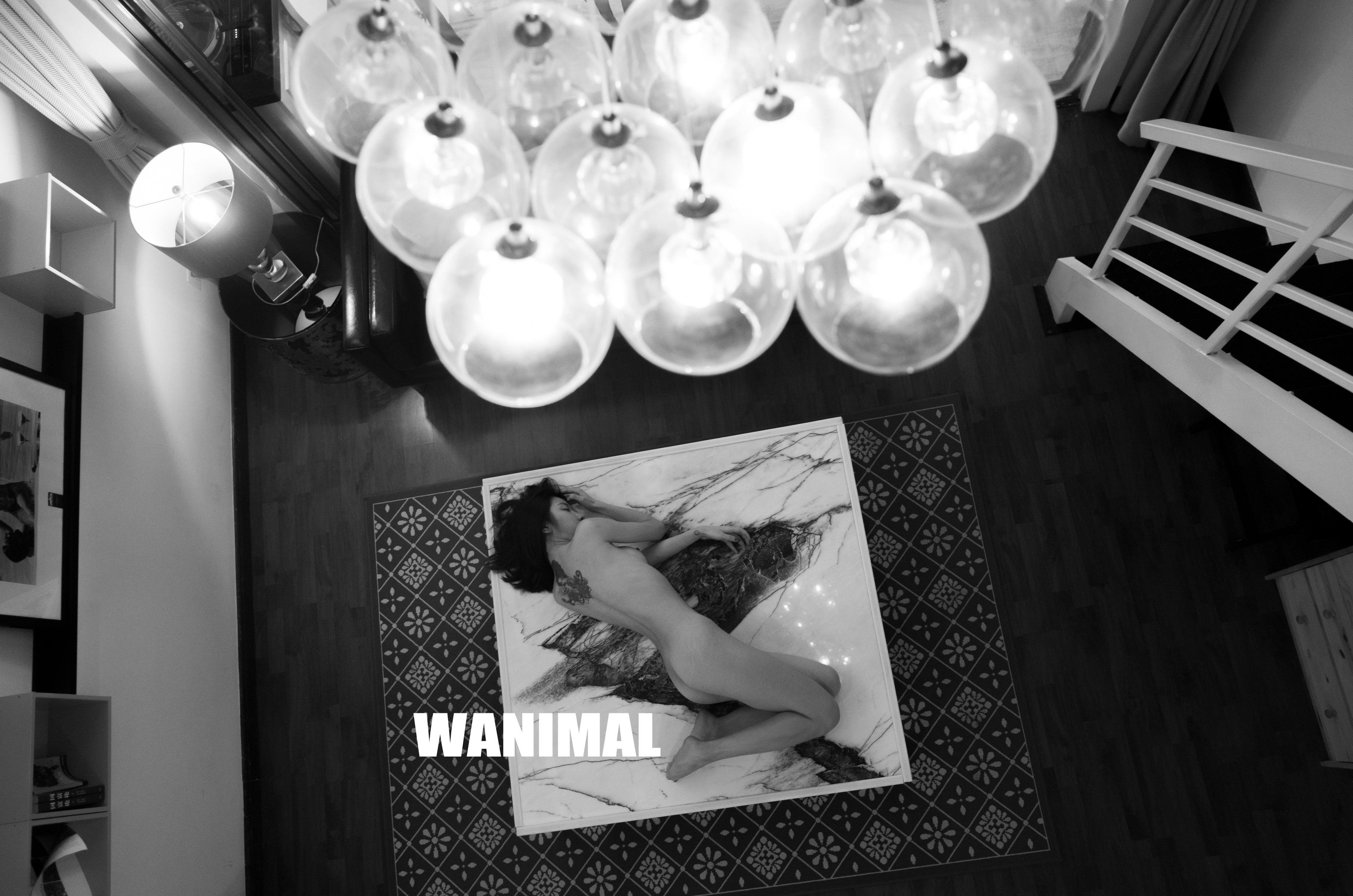 WANIMAL Vương Động Tác phẩm 154P