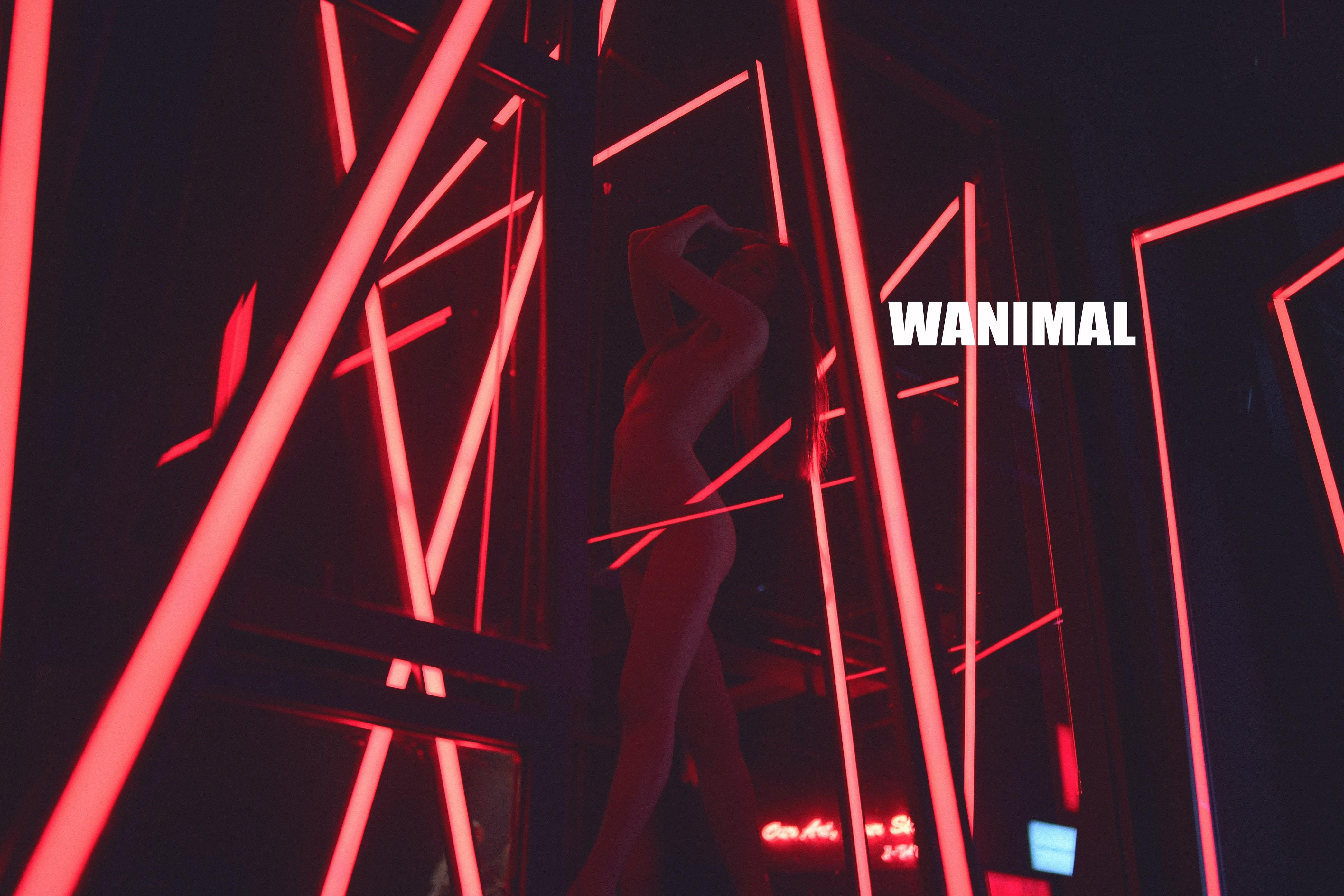WANIMAL Wang Dong Works 154P