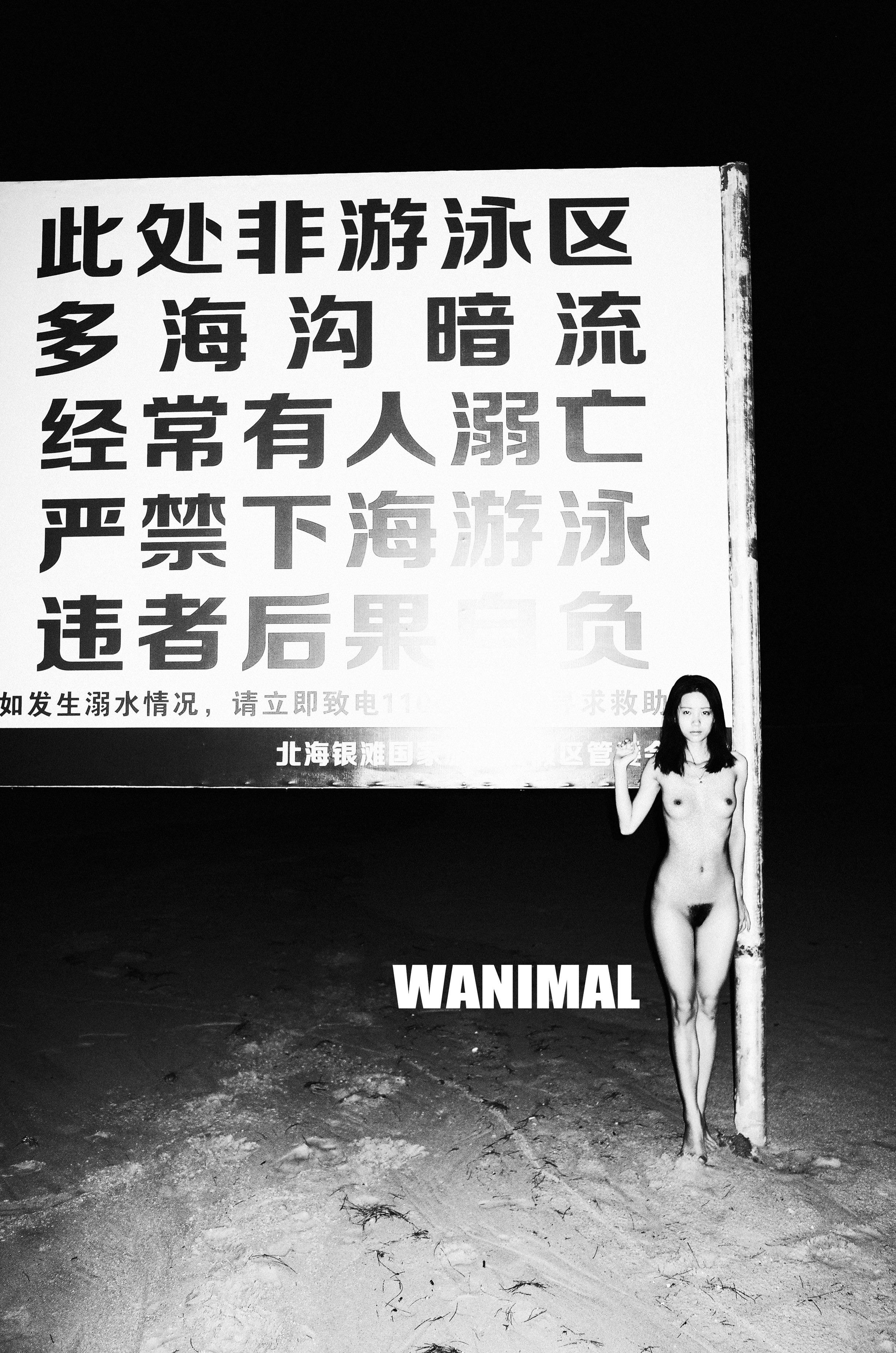 WANIMAL Wang Dong Works 154P