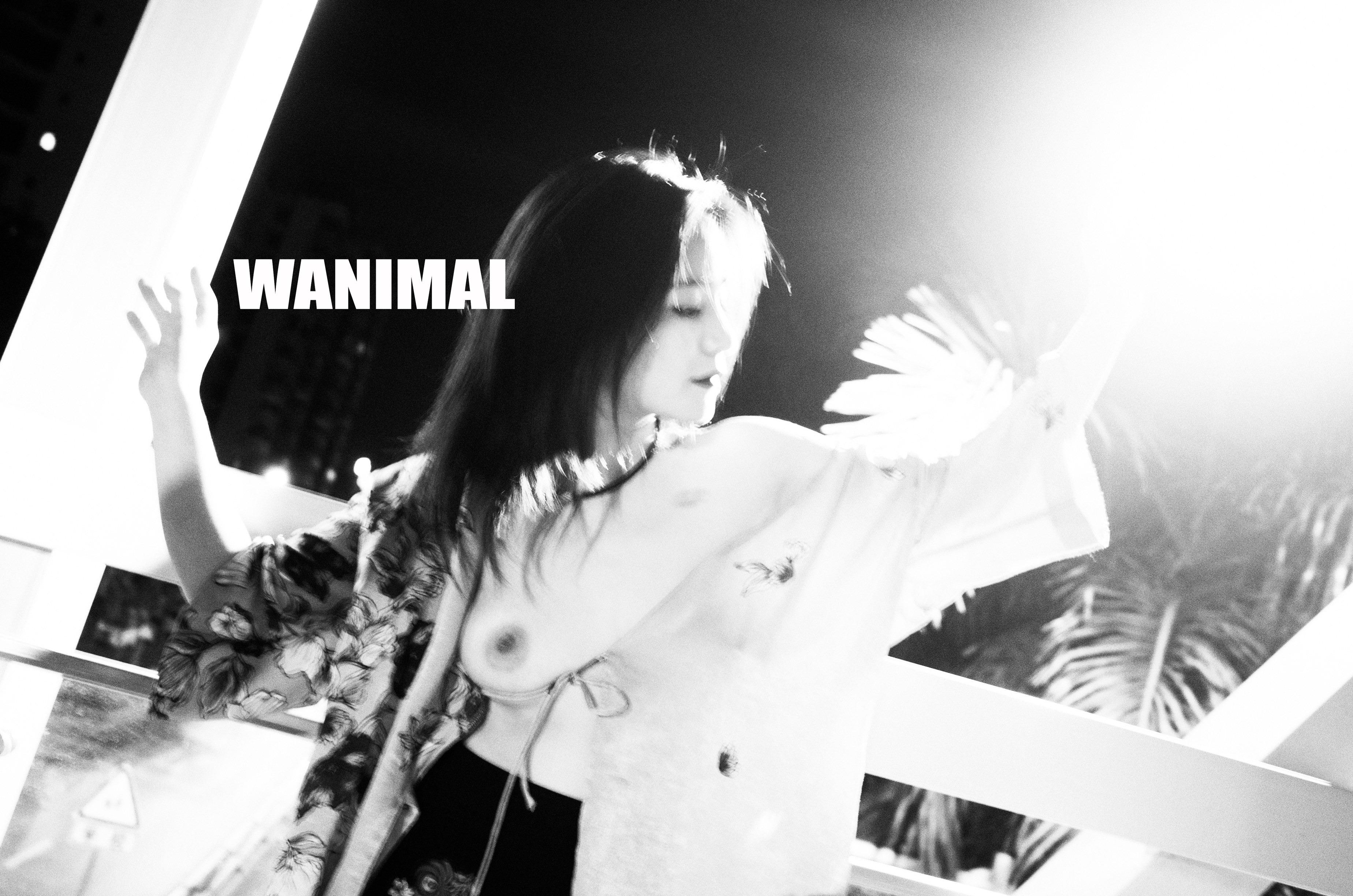WANIMAL Wang Dong Works 154P