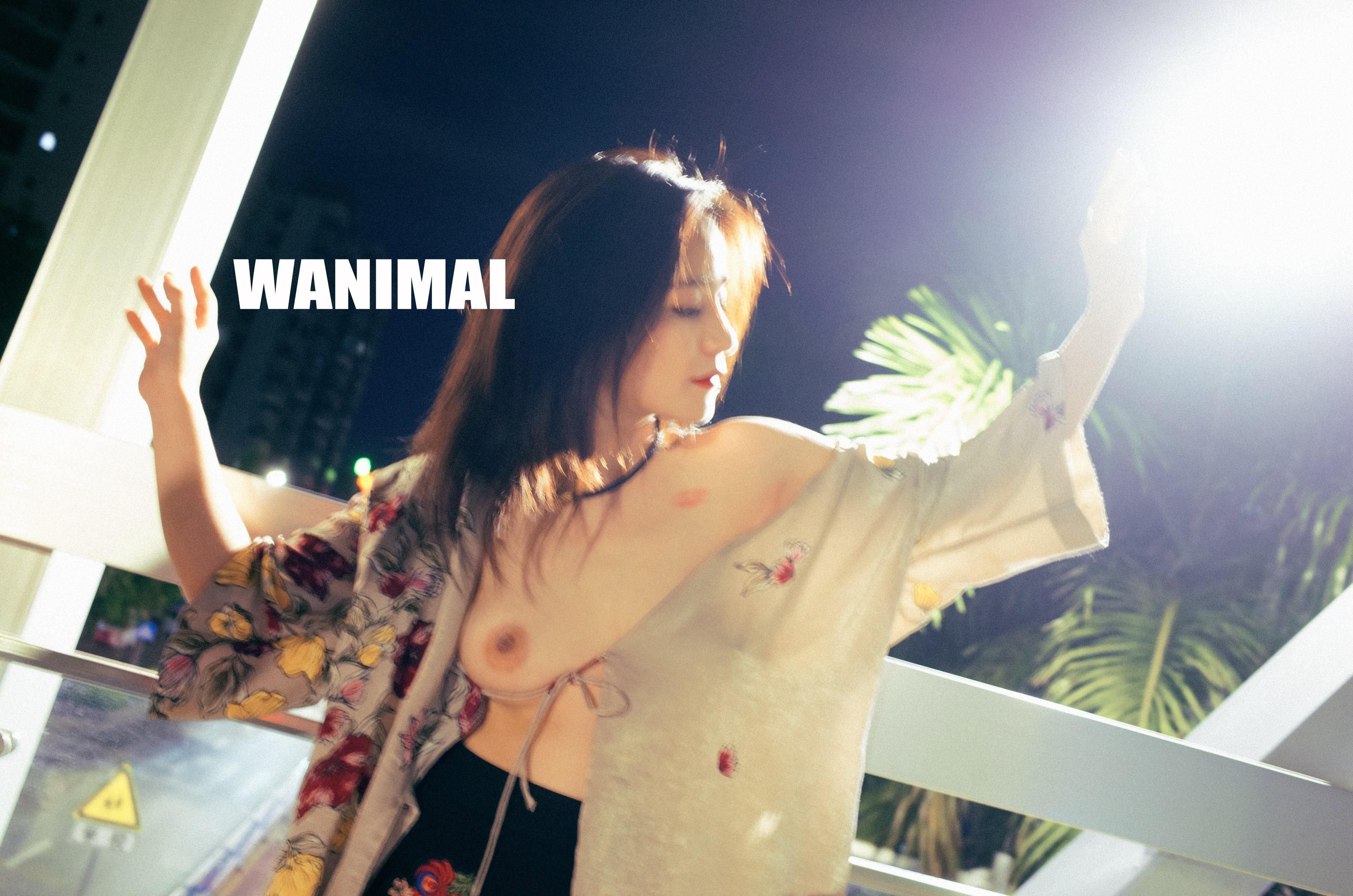 WANIMAL Wang Dong Works 154P