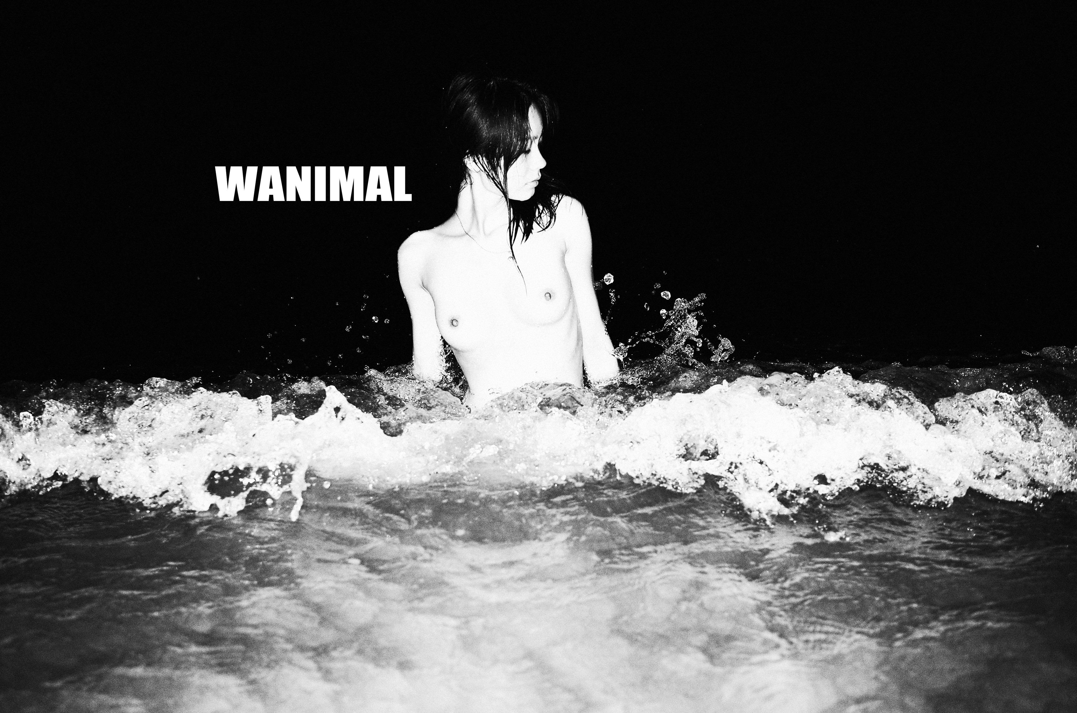 WANIMAL Wang Dong Works 154P
