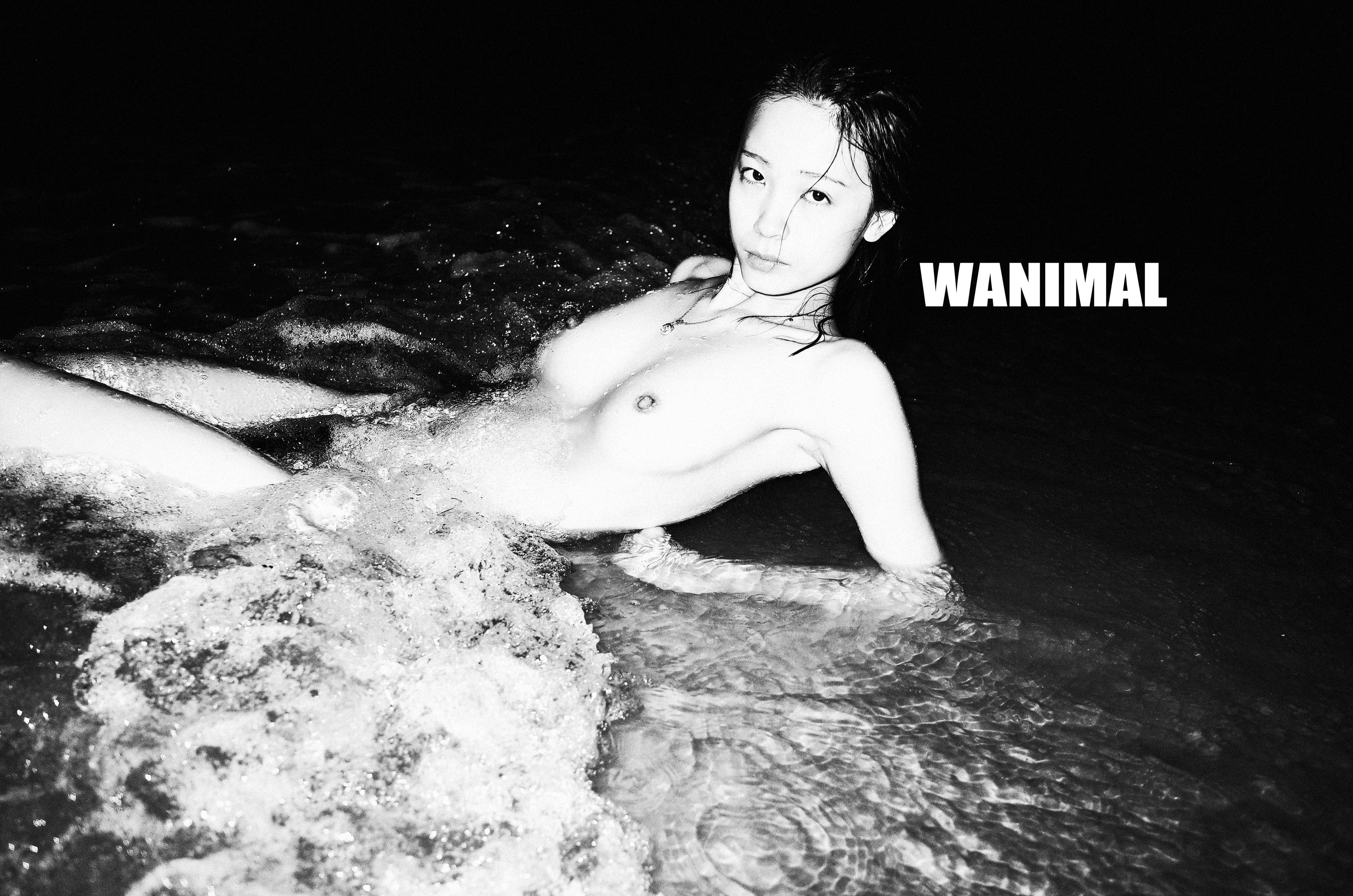 WANIMAL Wang Dong Works 154P