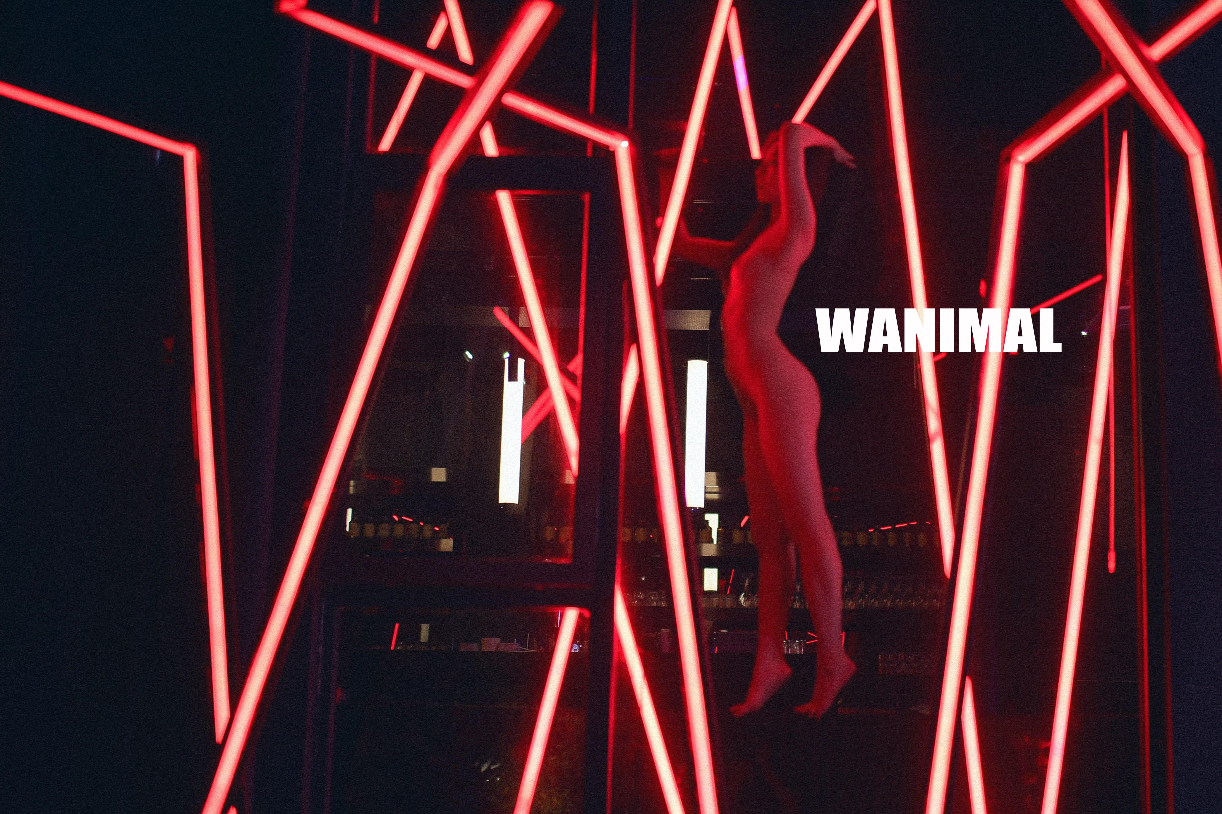 WANIMAL Wang Dong Works 154P