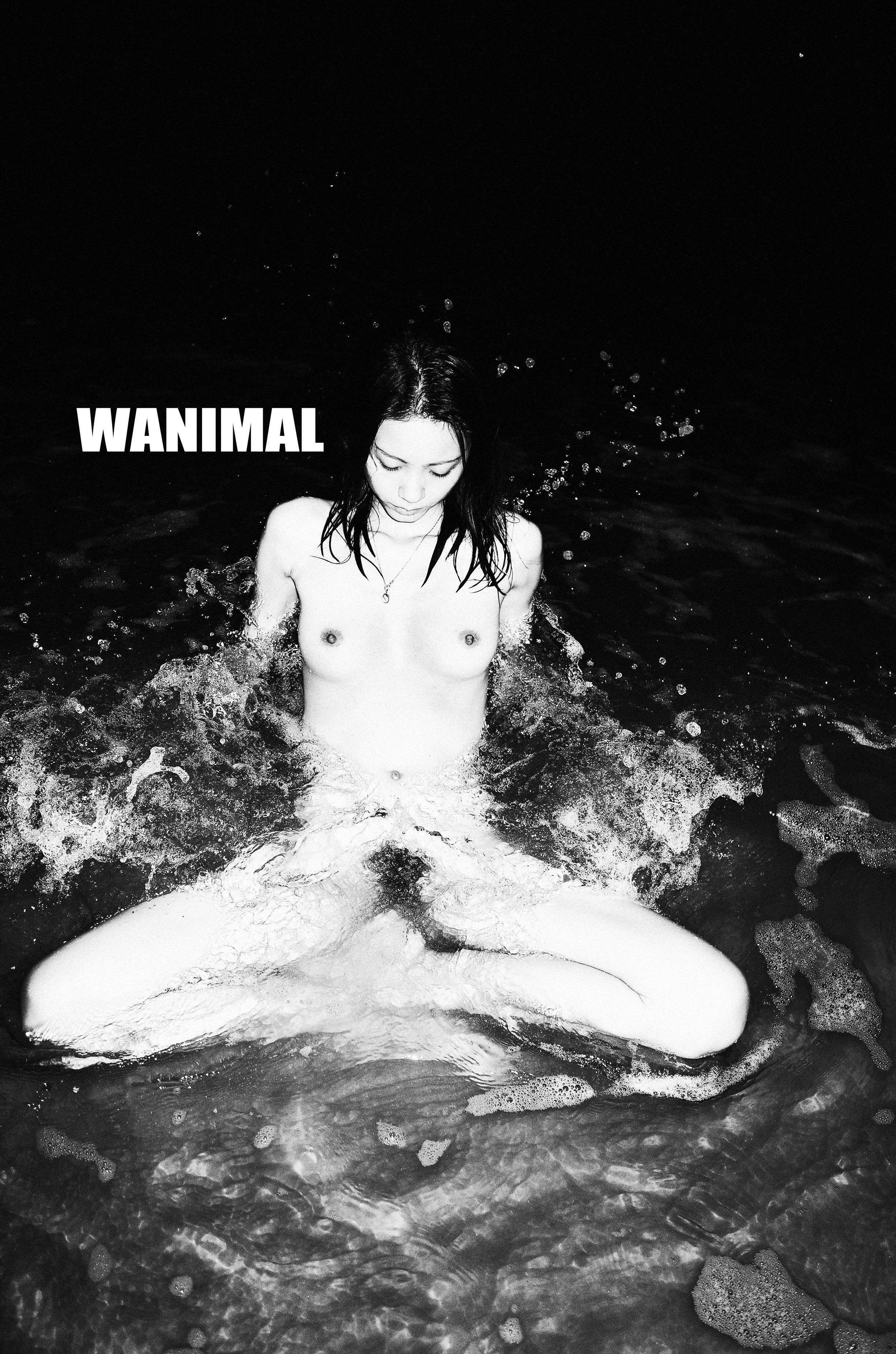 WANIMAL Wang Dong Works 154P