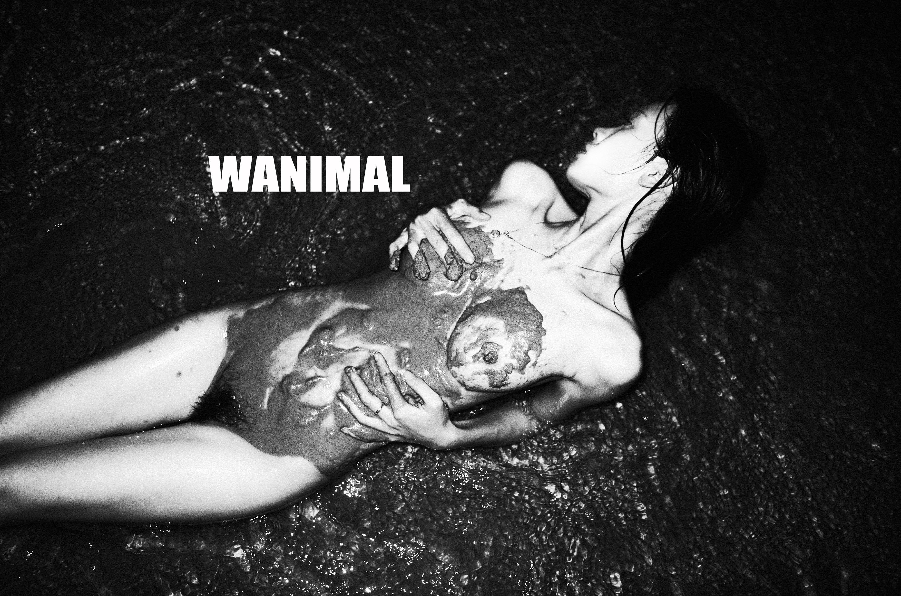 WANIMAL Wang Dong Works 154P