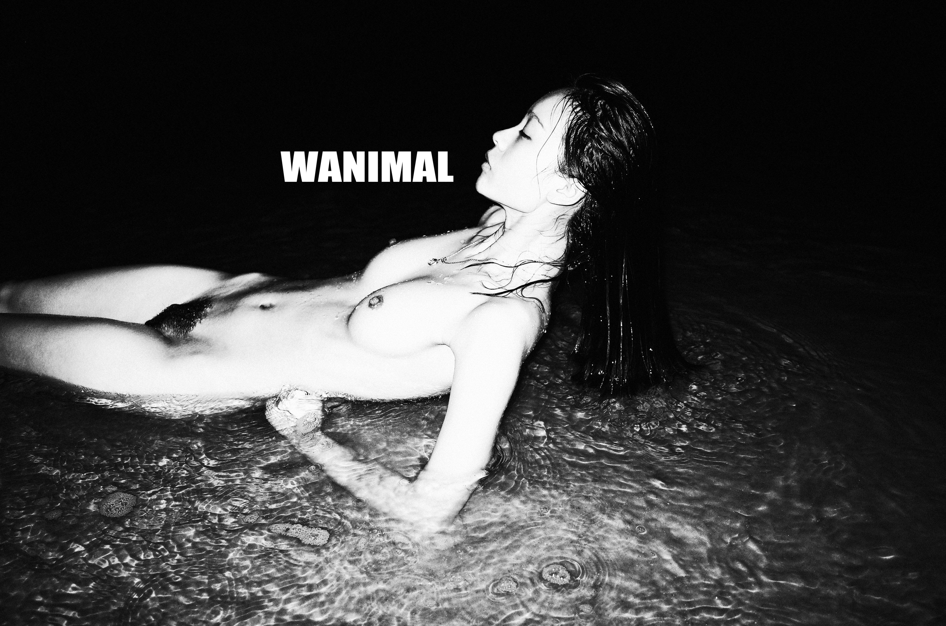 WANIMAL Wang Dong Works 154P