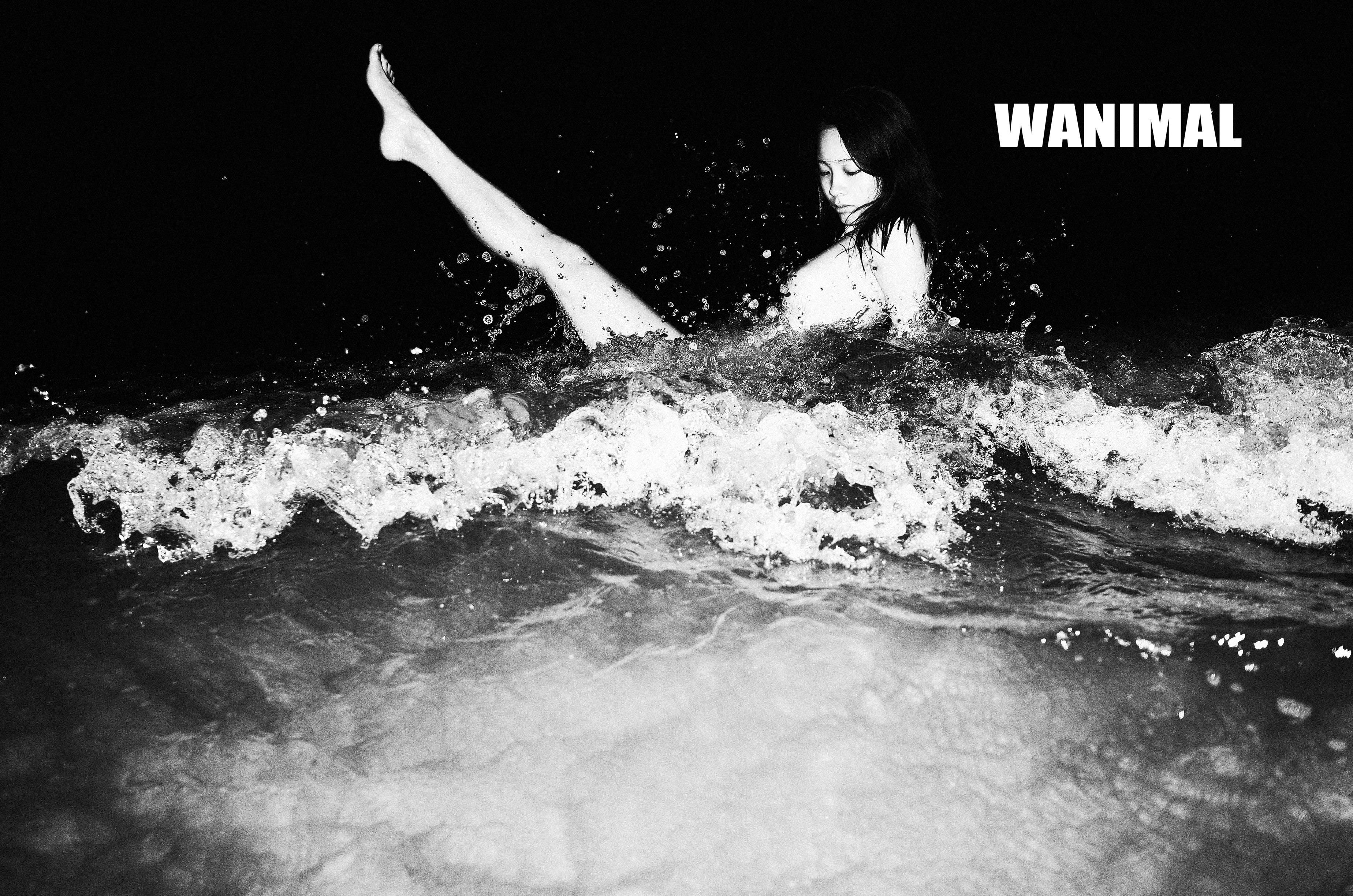 WANIMAL Wang Dong Works 154P
