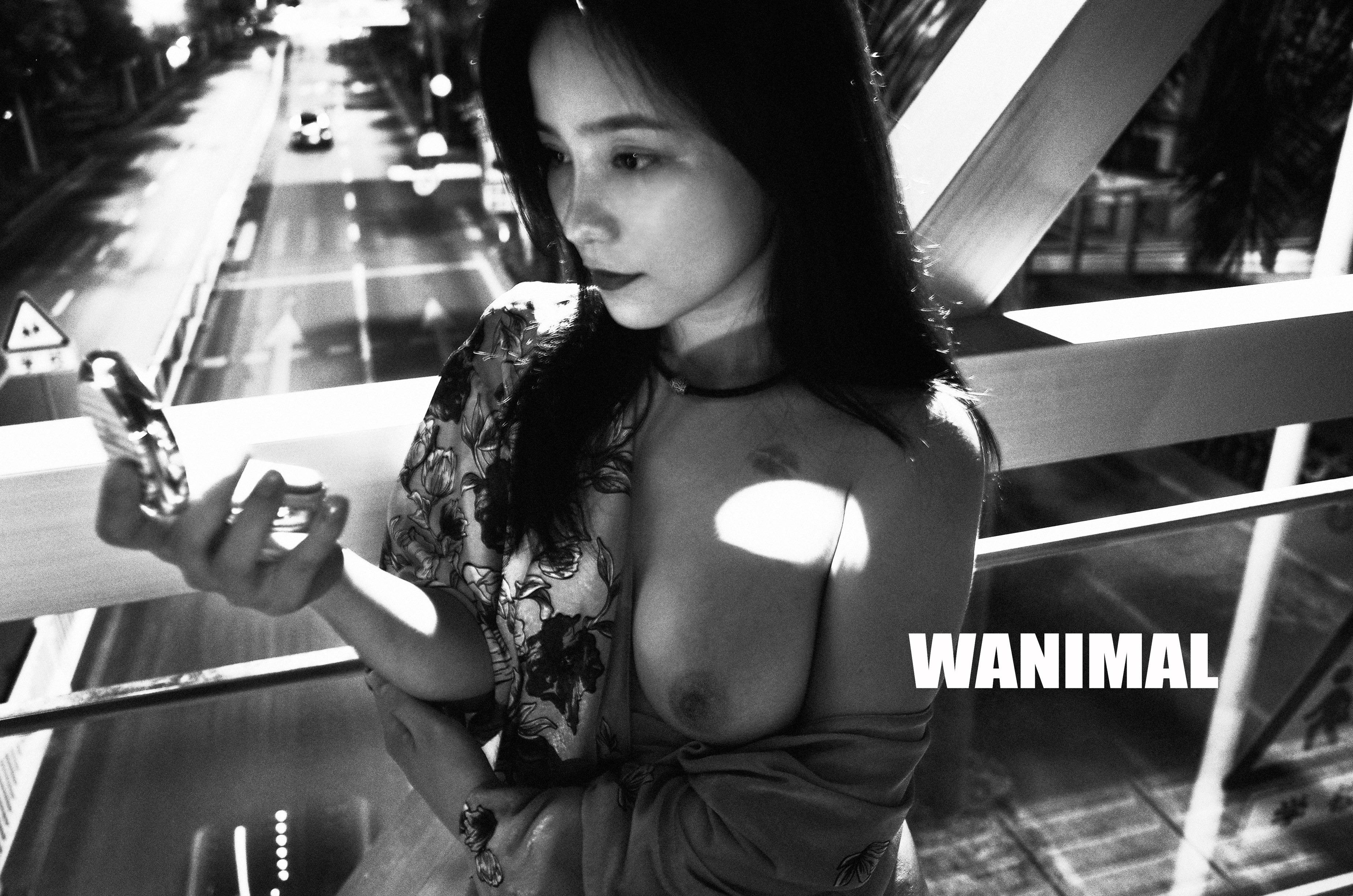 WANIMAL Wang Dong Works 154P