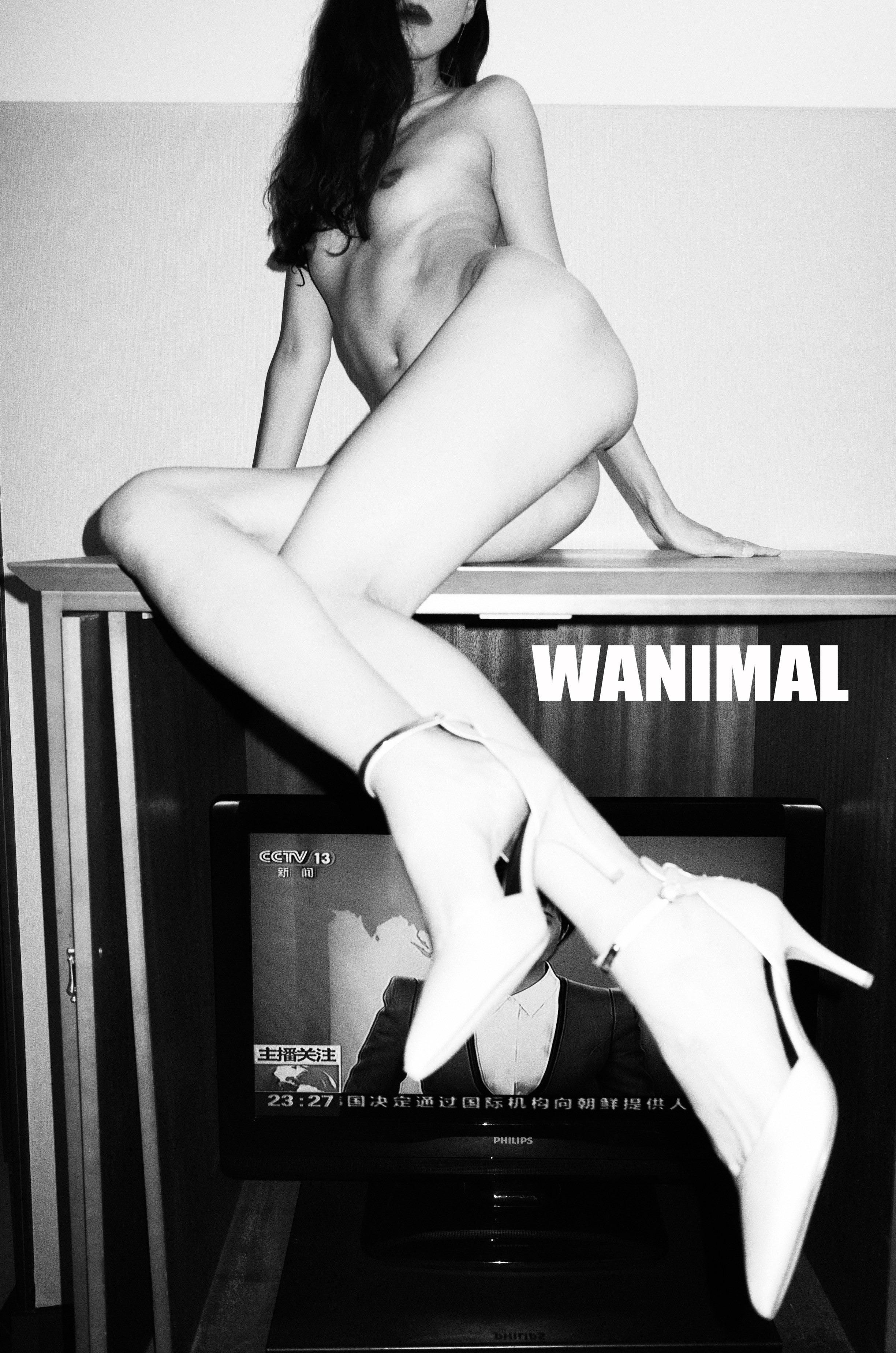 WANIMAL Wang Dong Works 154P