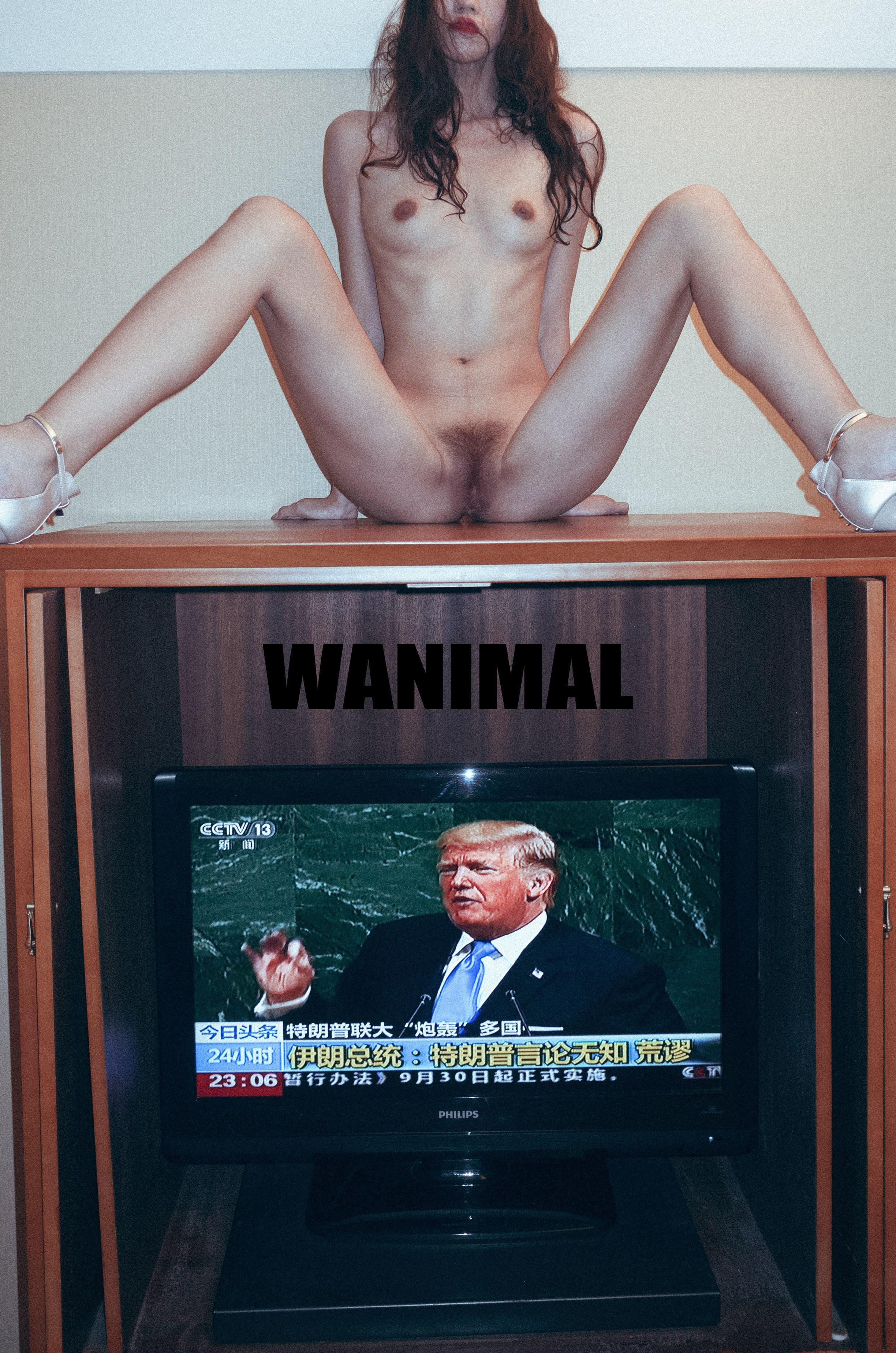 WANIMAL Wang Dong Works 154P