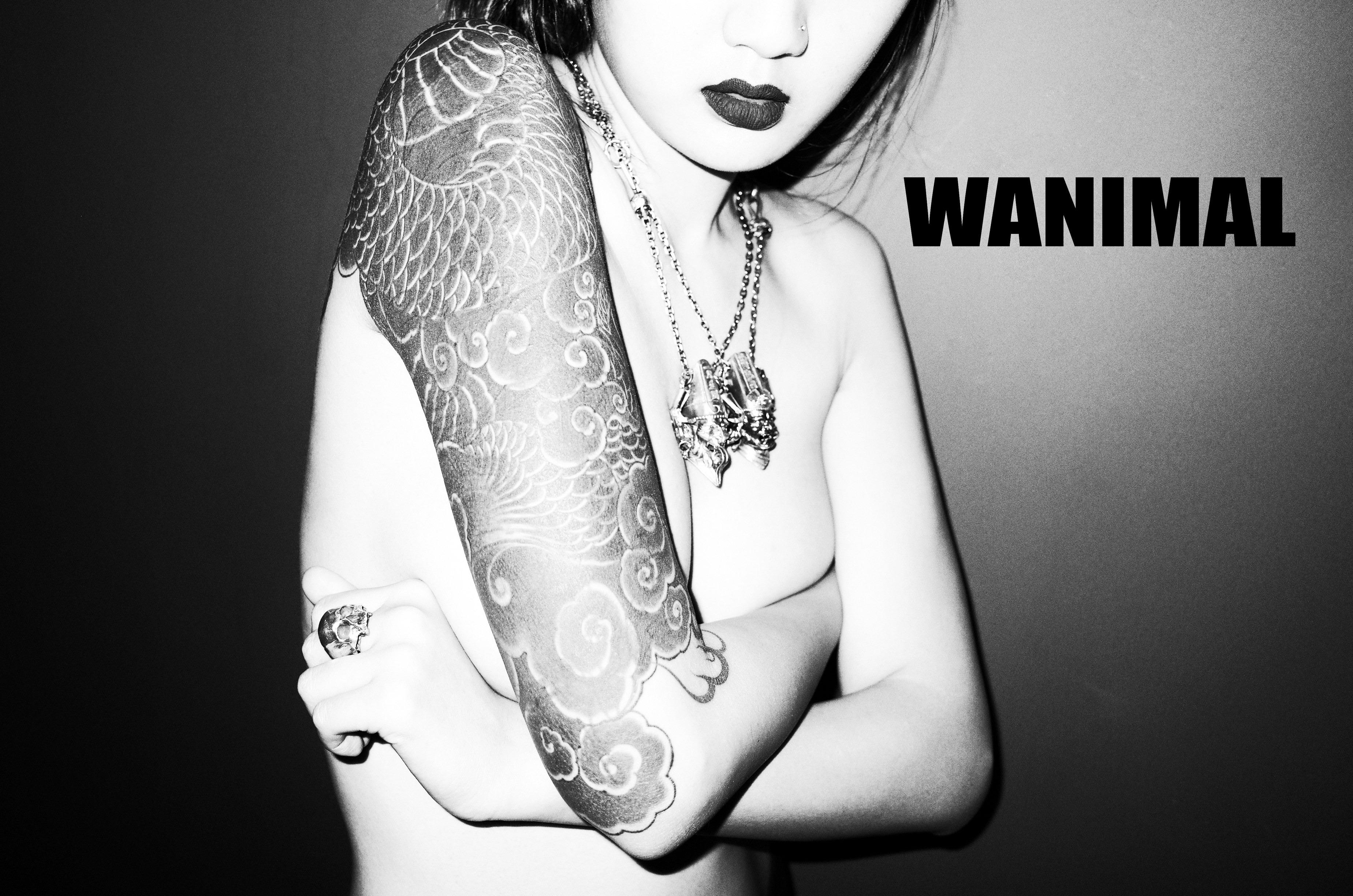 WANIMAL Wang Dong Works 154P